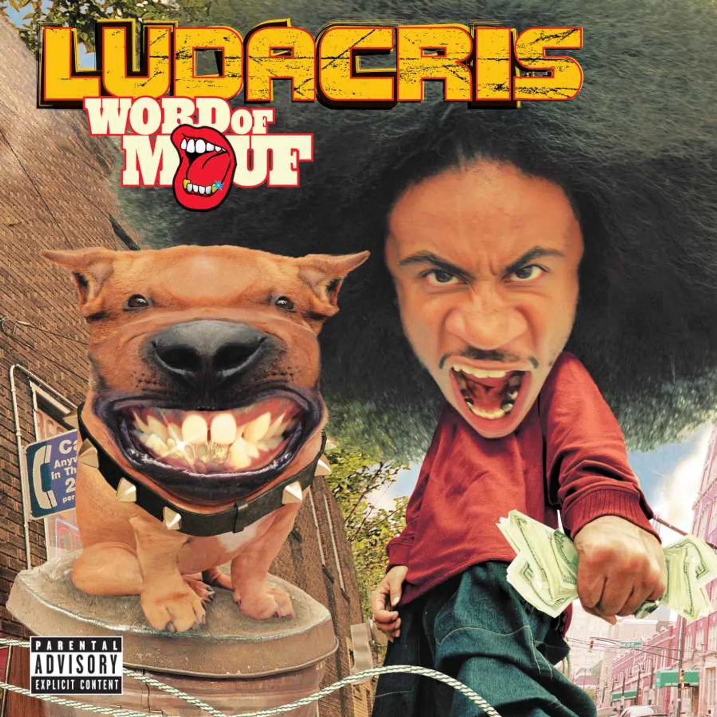 Ludacris Word Of Mouf Vinyl Record