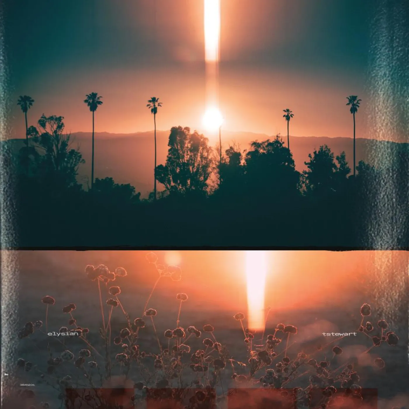 tstewart ELYSIAN Vinyl Record