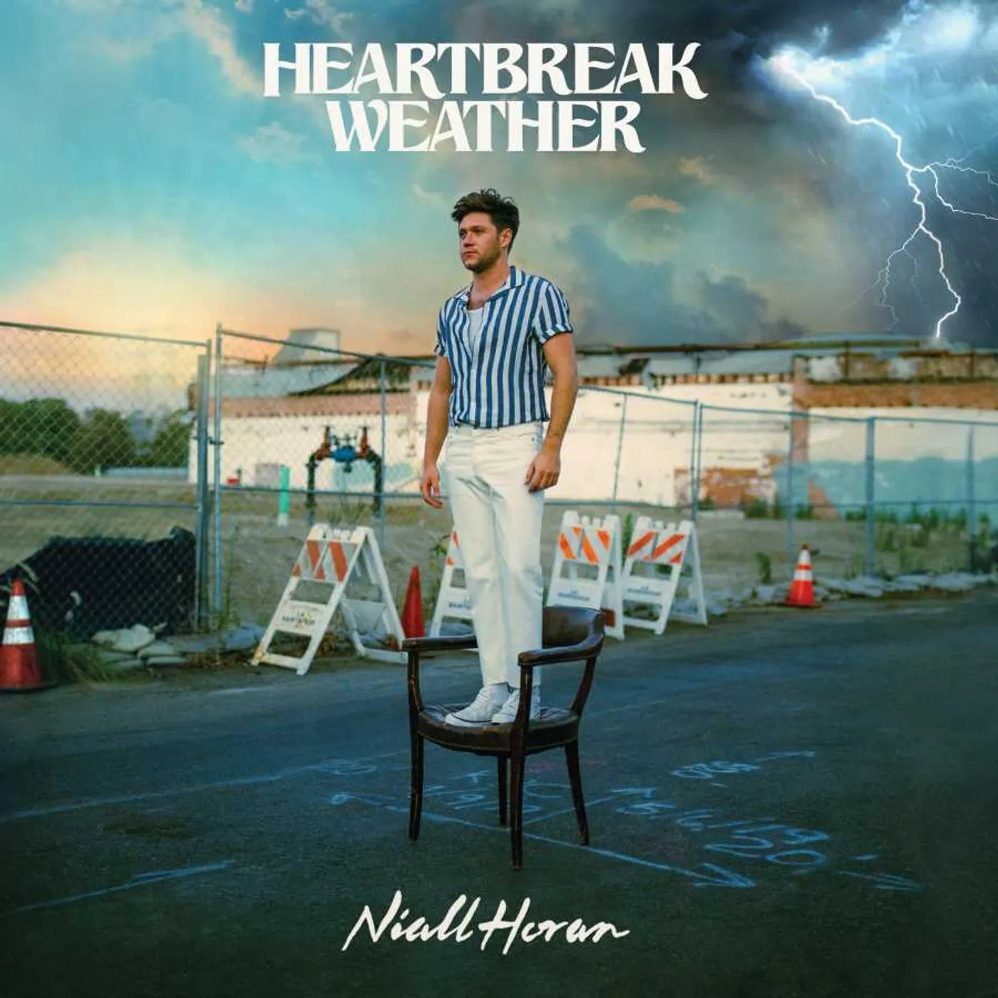 Niall Horan Heartbreak Weather Vinyl Record