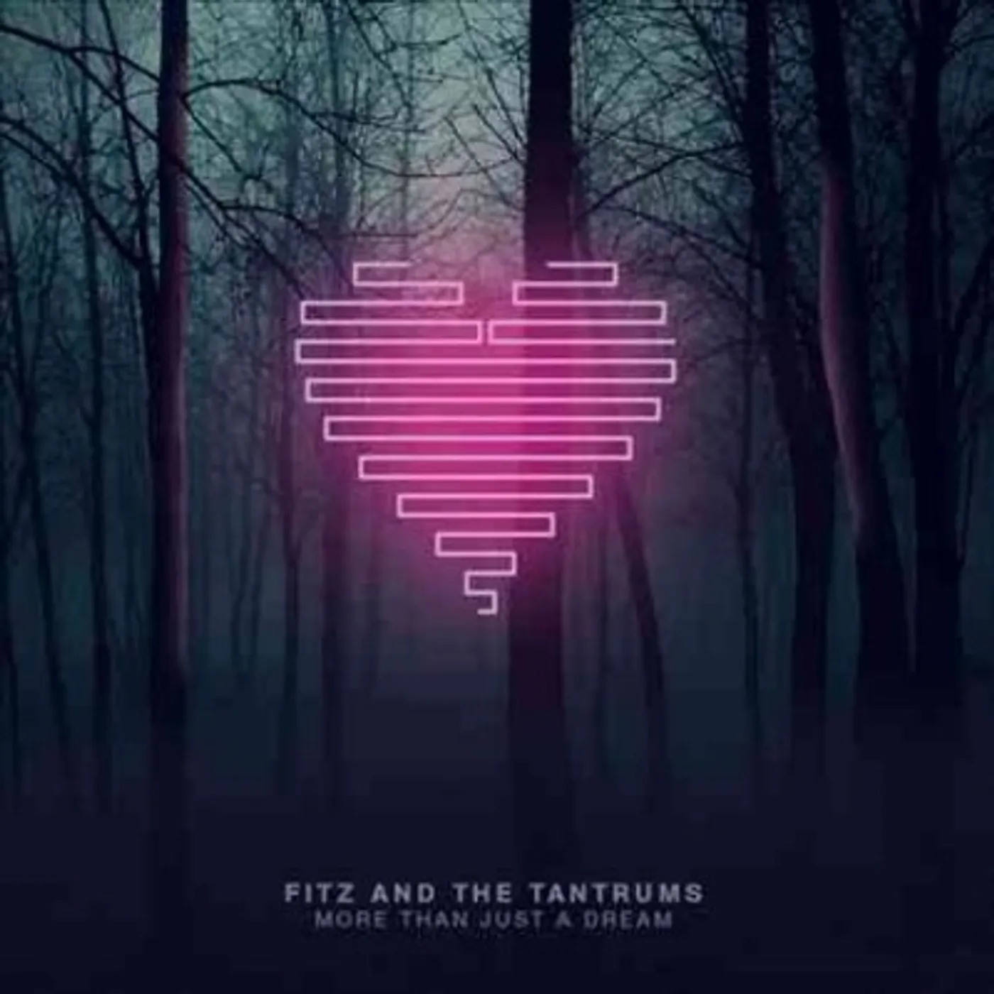 Fitz and The Tantrums More Than Just a Dream Vinyl Record