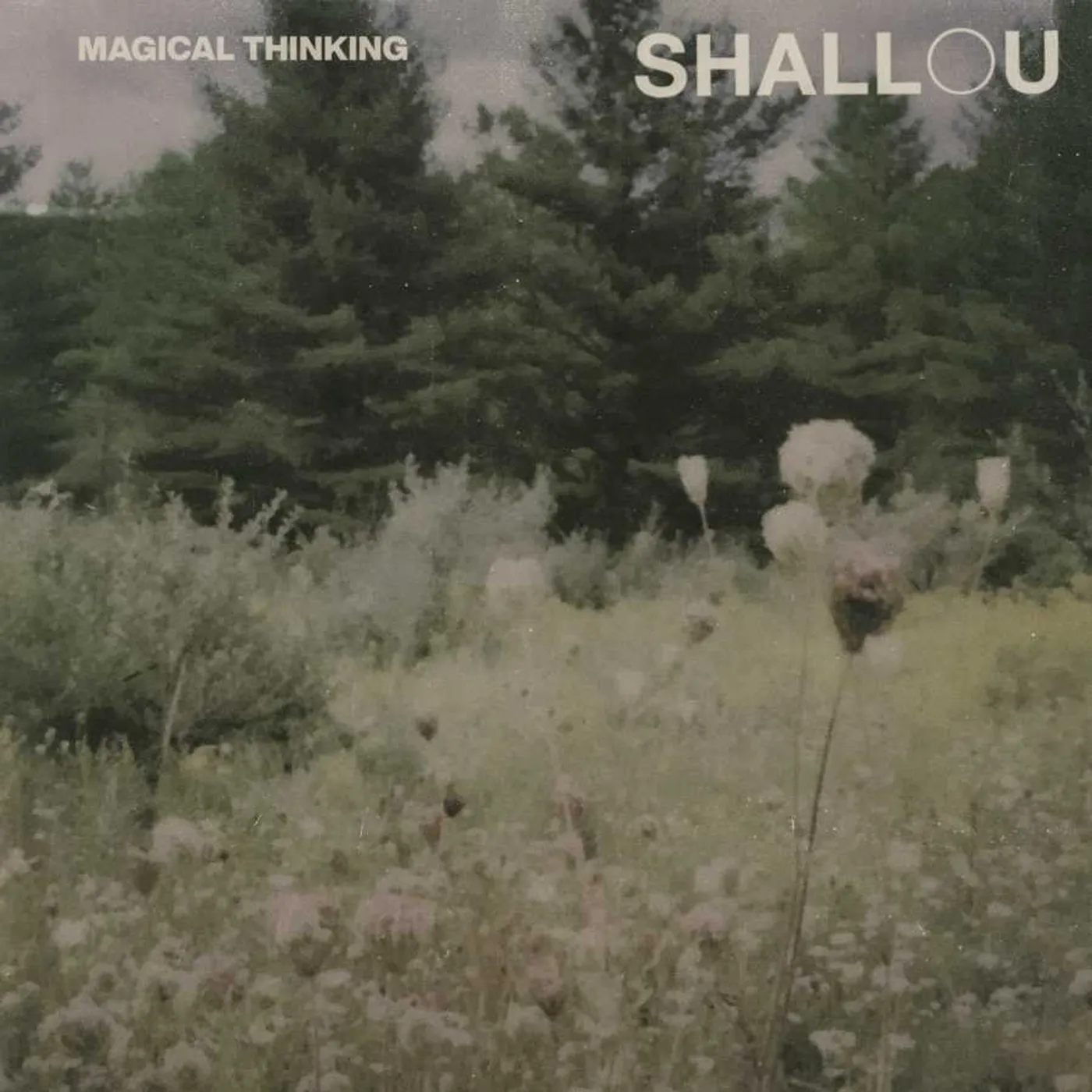 Shallou Magical Thinking Vinyl Record