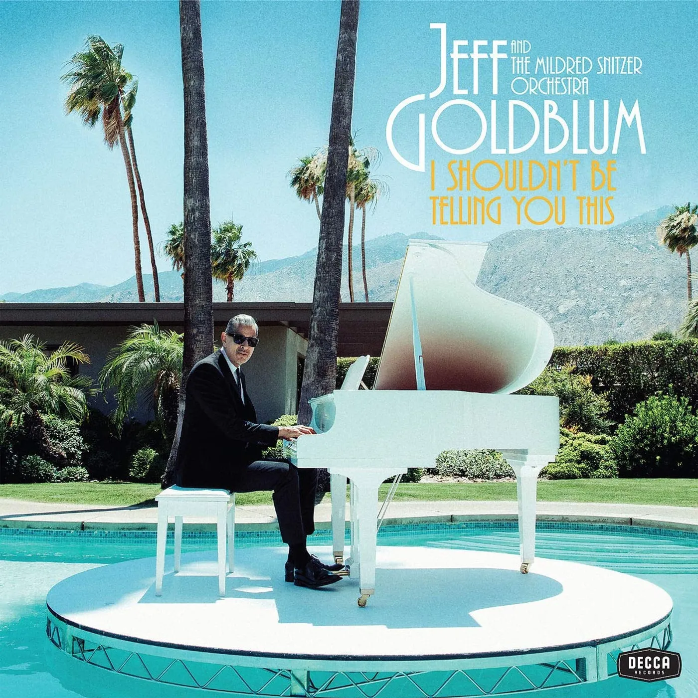 Jeff Goldblum & The Mildred Snitzer Orchestra I Shouldn't Be Telling You This (LP) Vinyl Record