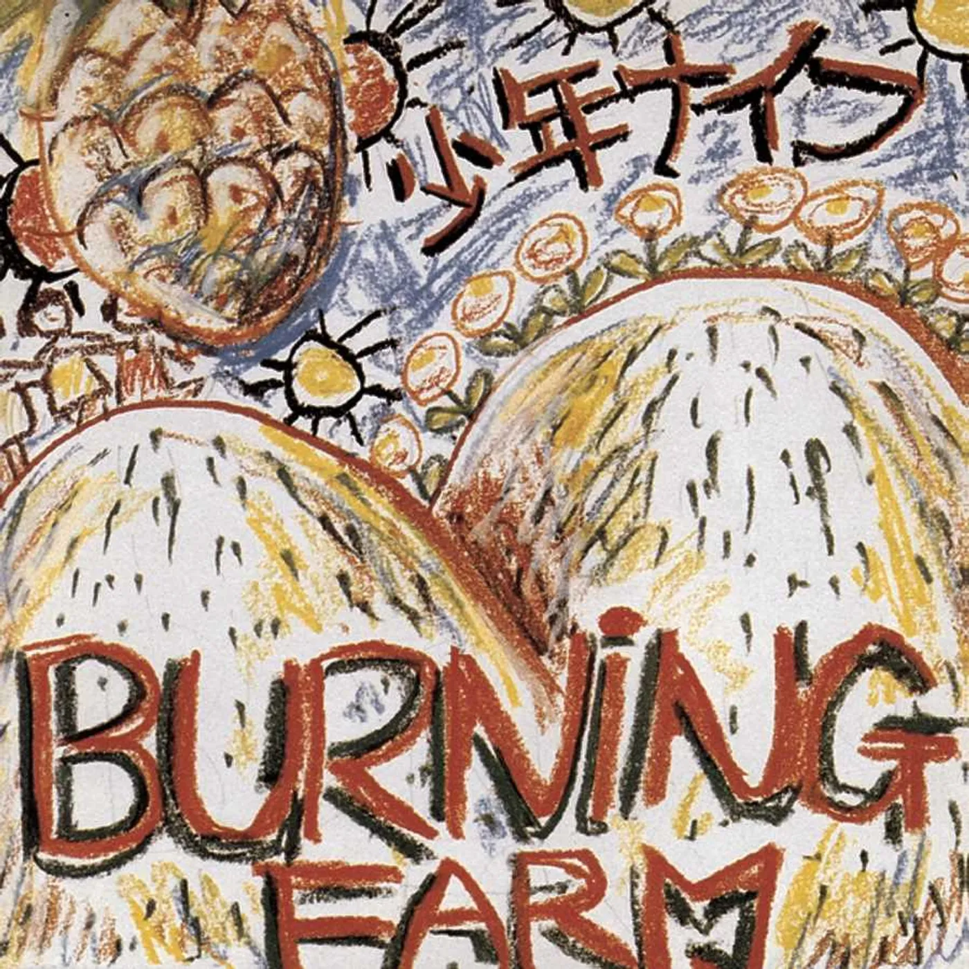 Shonen Knife Burning Farm Vinyl Record