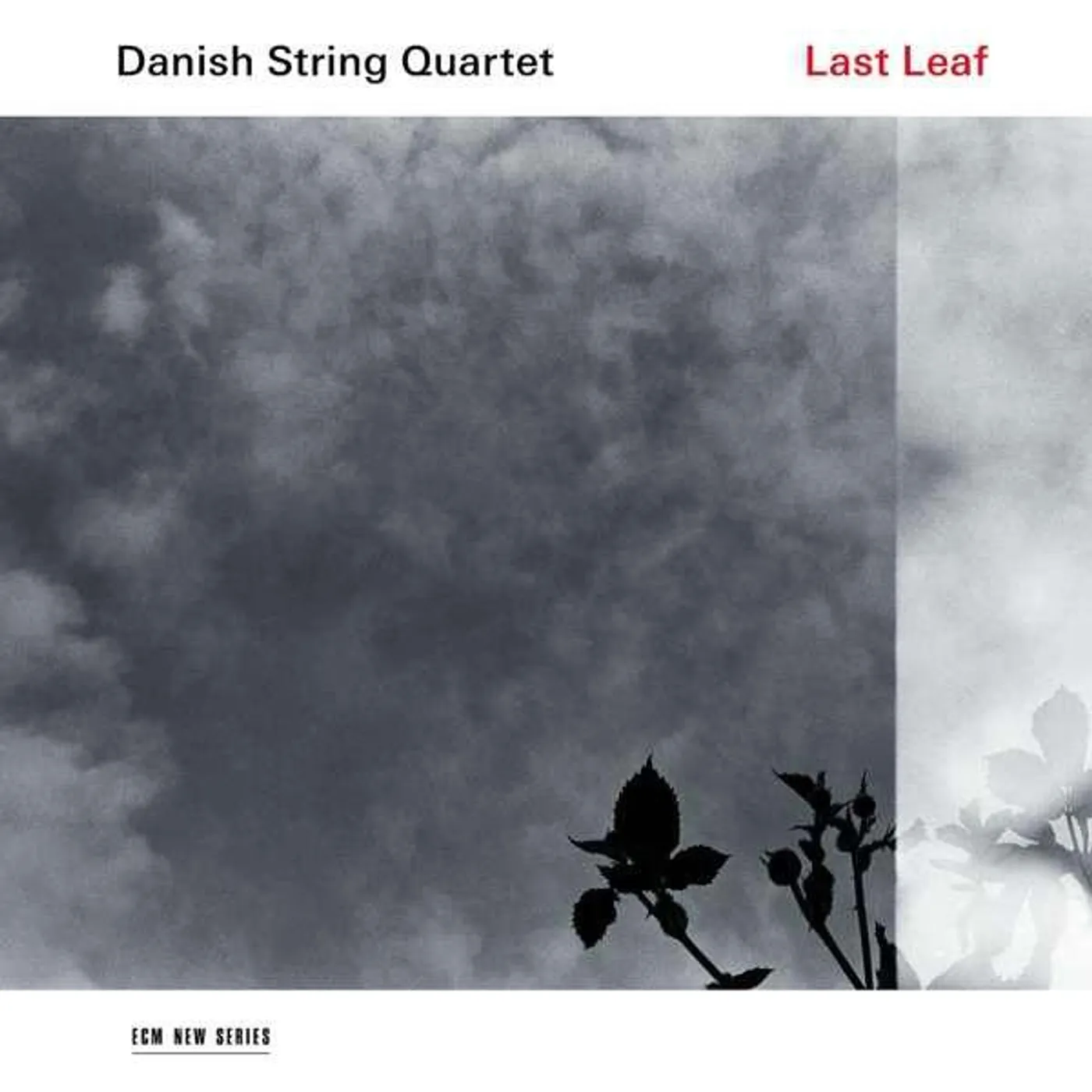 Danish String Quartet Last Leaf (LP) Vinyl Record