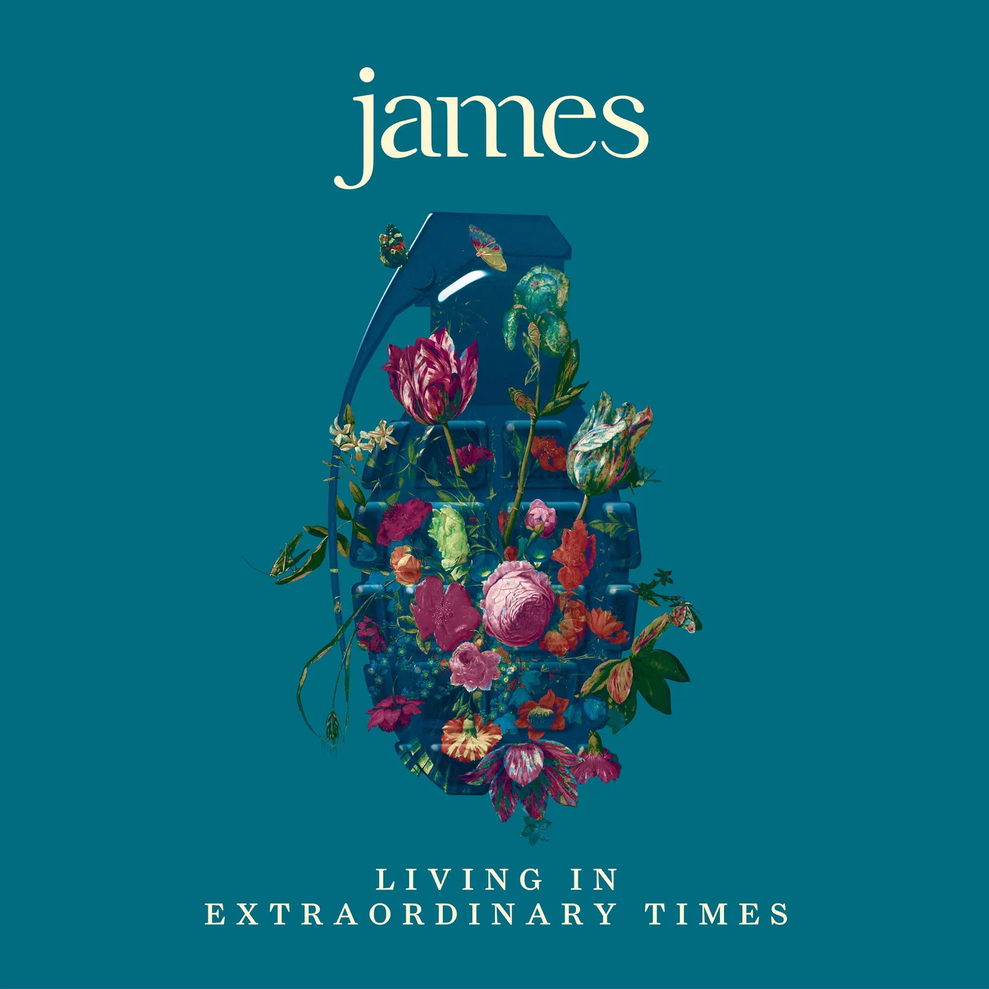 James Living in Extraordinary Times Vinyl Record