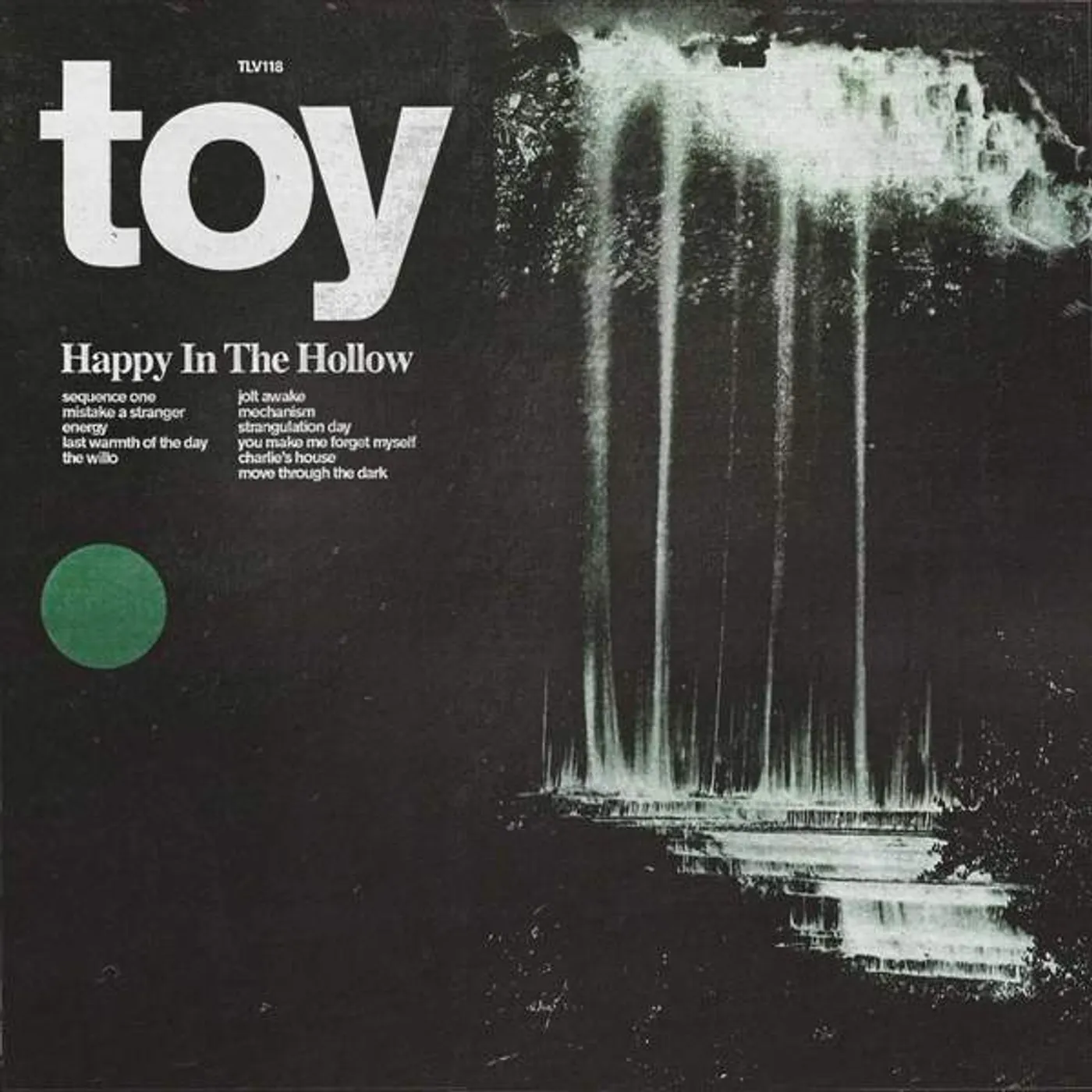 TOY Happy In The Hollow Vinyl Record