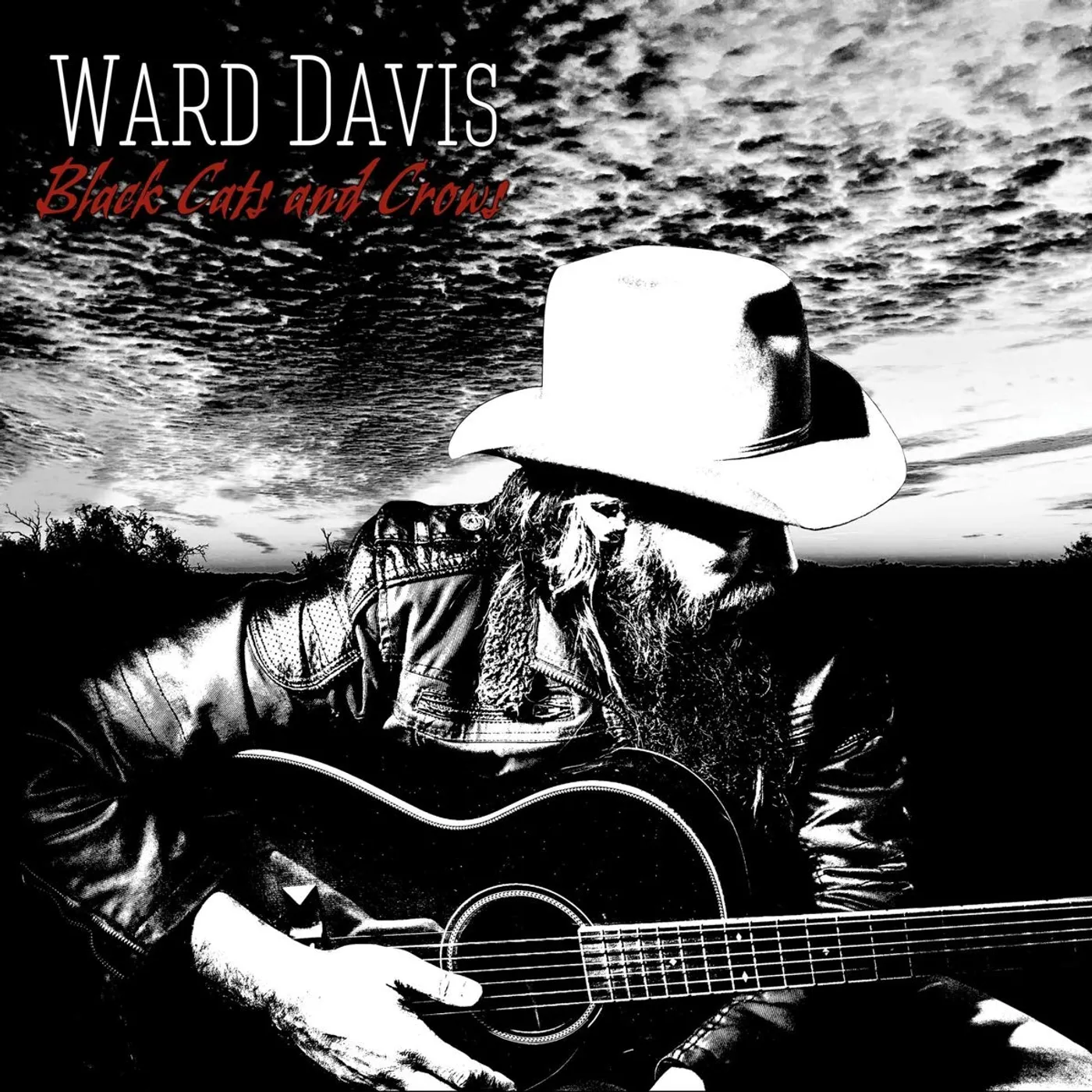 Ward Davis BLACK CATS AND CROWS CD