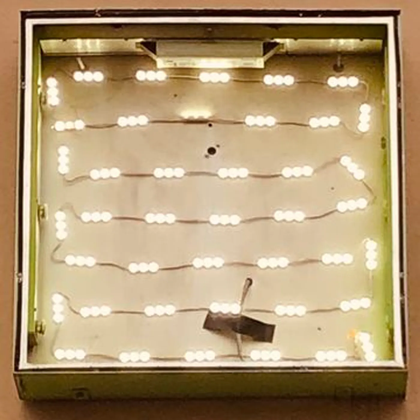 Oso Oso BASKING IN THE GLOW CD