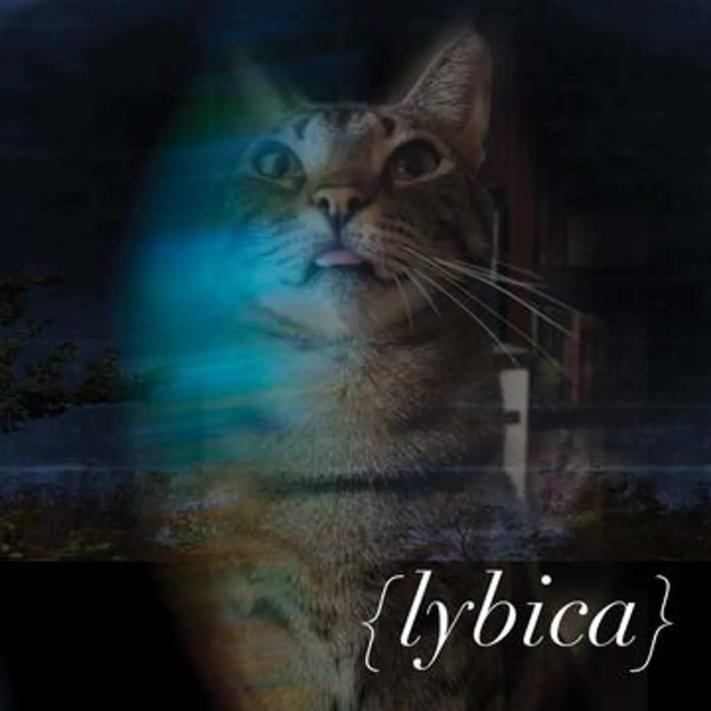 LYBICA CD