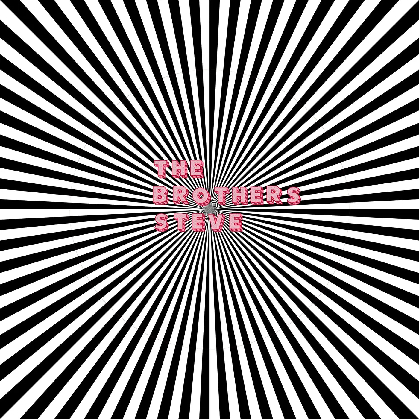 The Brothers Steve #1 CD