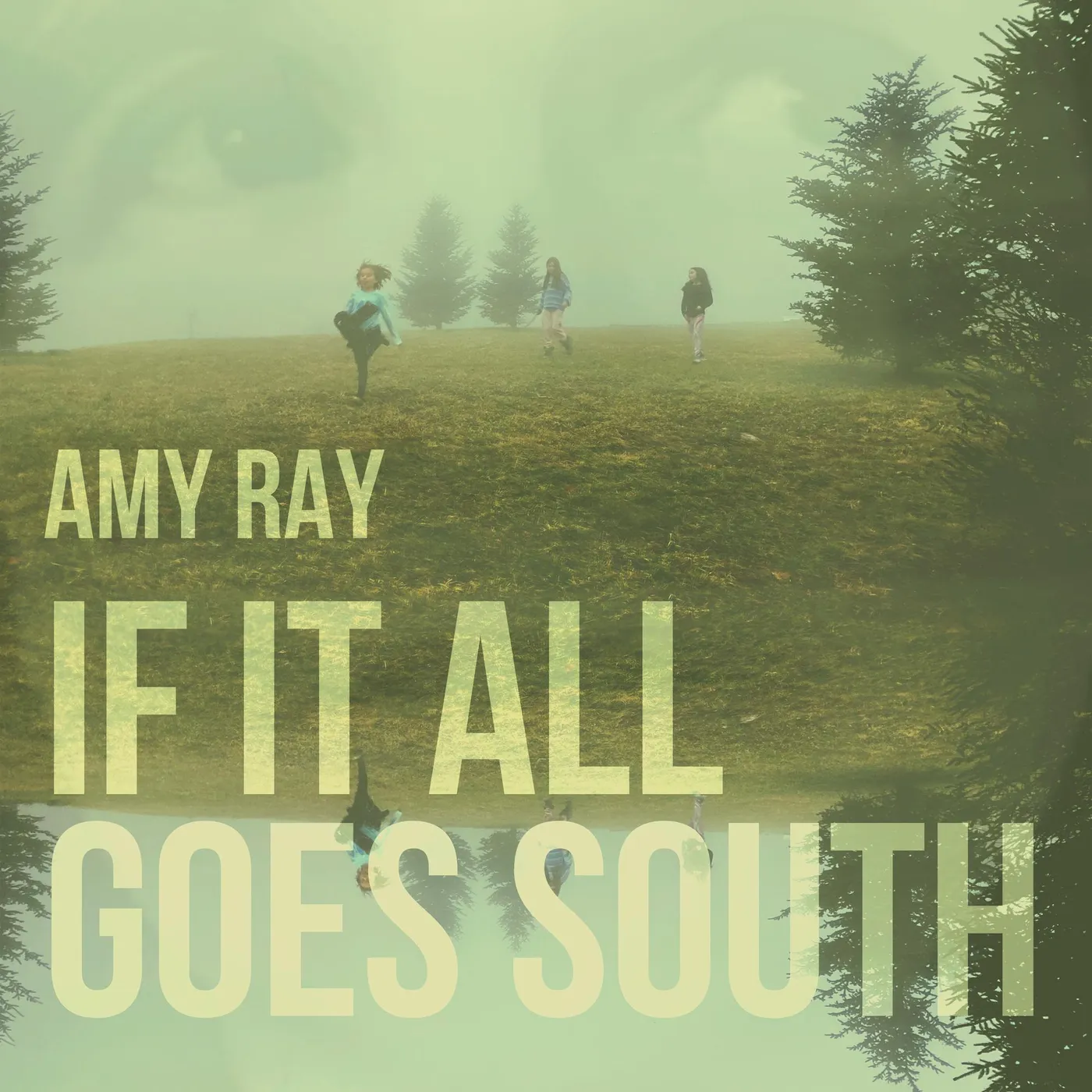 Amy Ray IF IT ALL GOES SOUTH CD