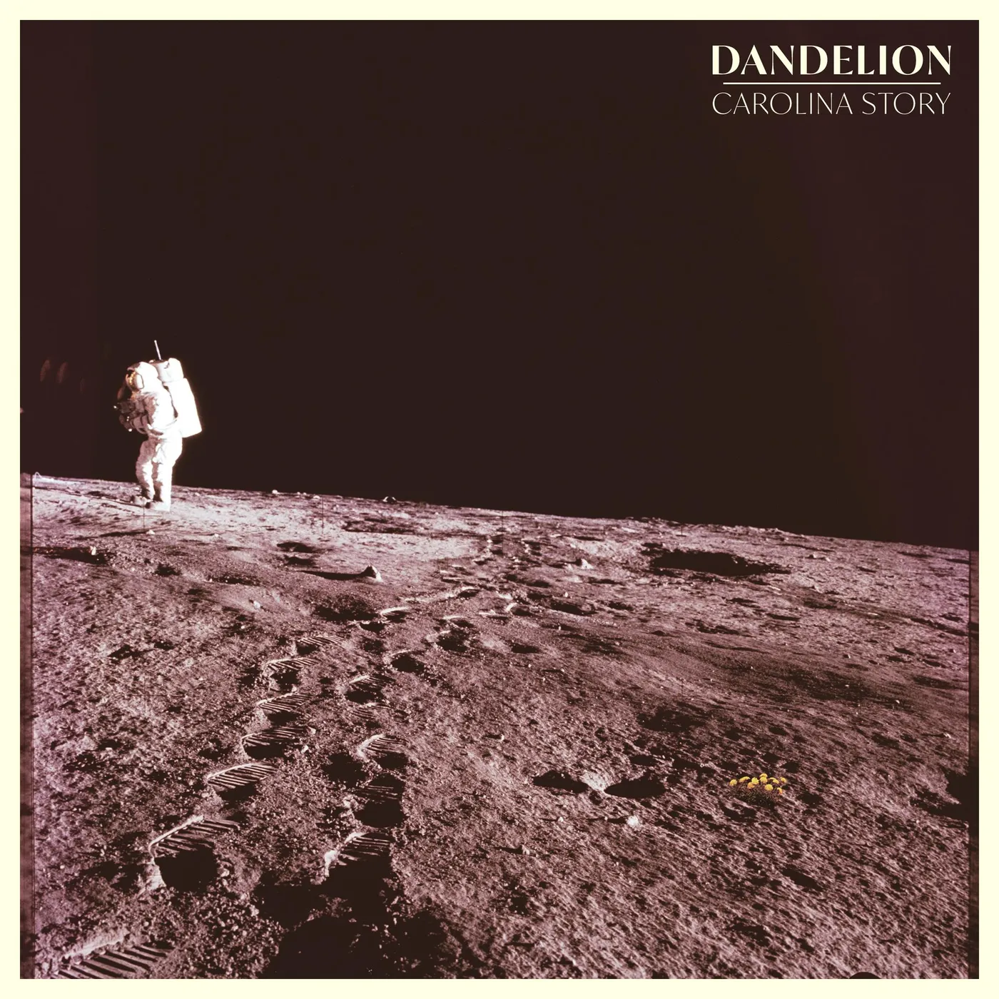Carolina Story DANDELION CD