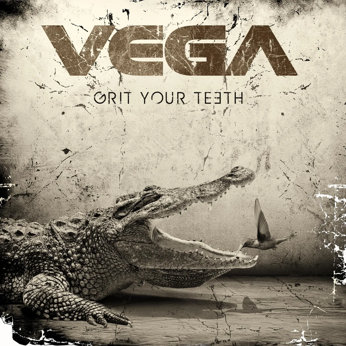 Vega Grit Your Teeth CD