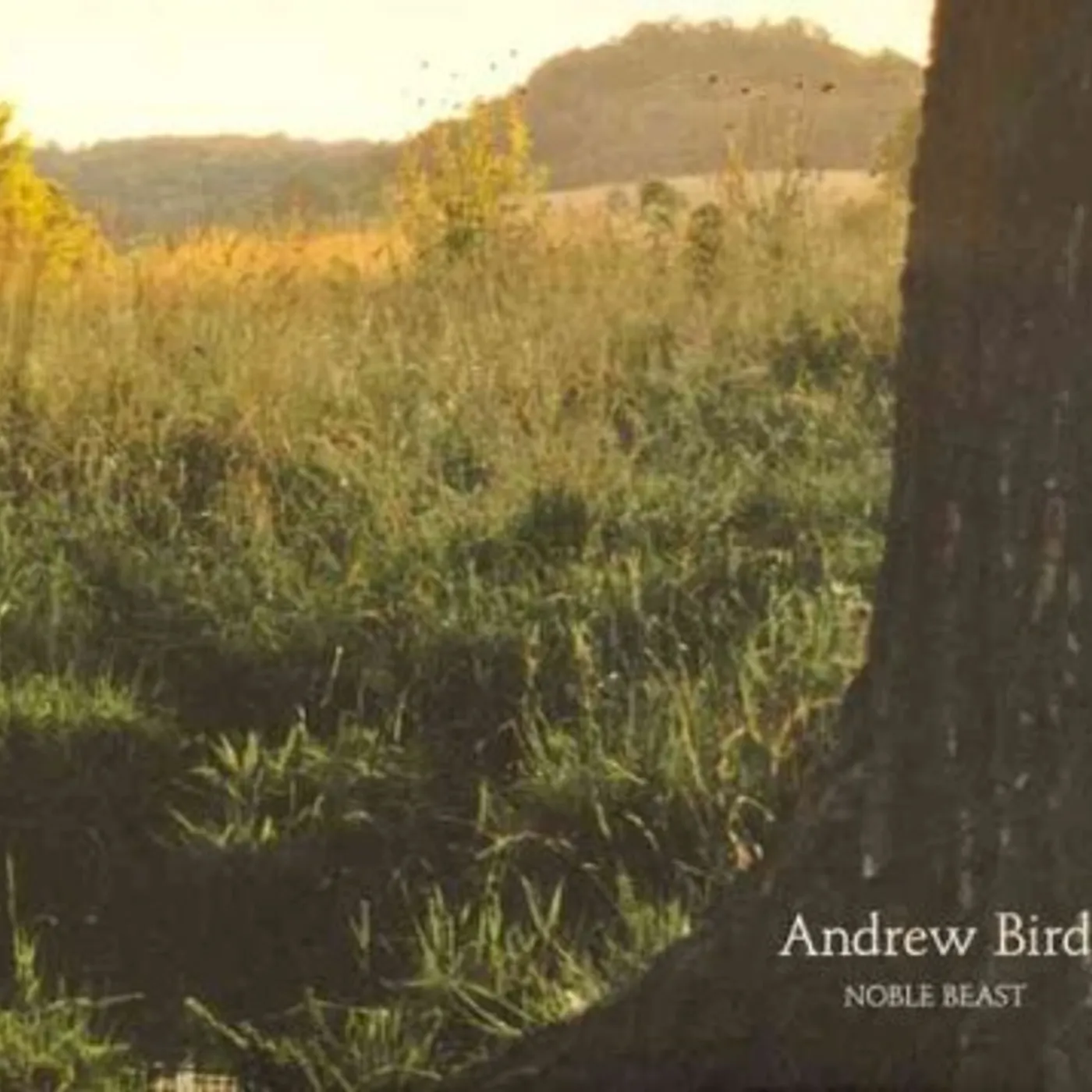 Andrew Bird NOBLE BEAST CD