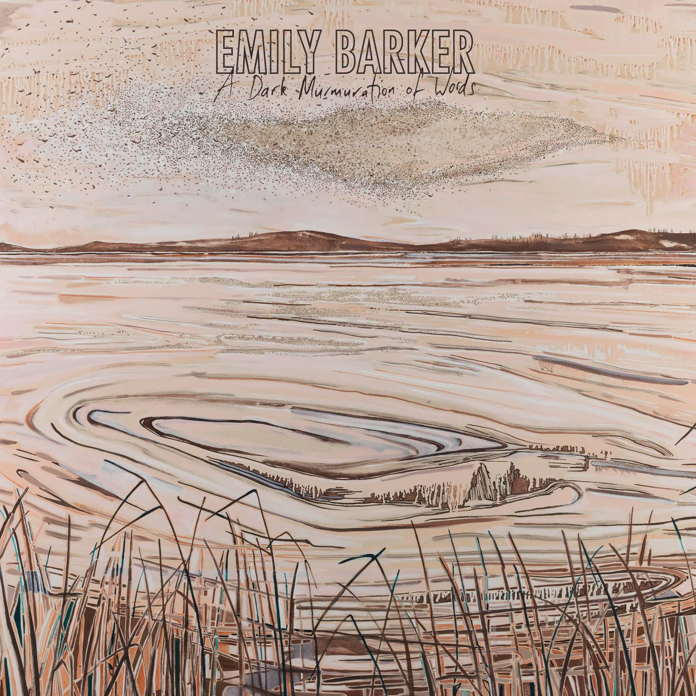 Emily Barker A Dark Murmuration Of Words CD