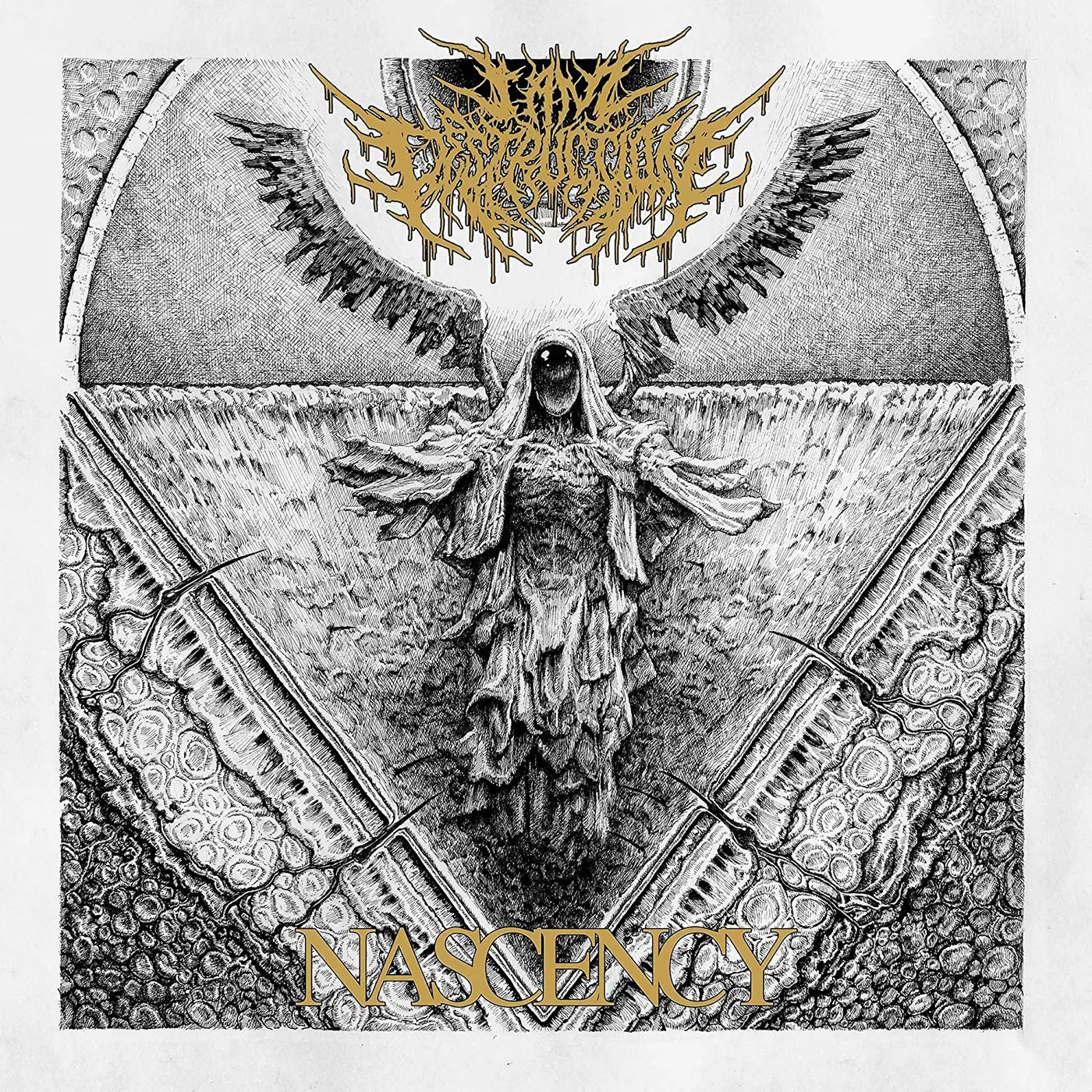 I Am Destruction NASCENCY CD