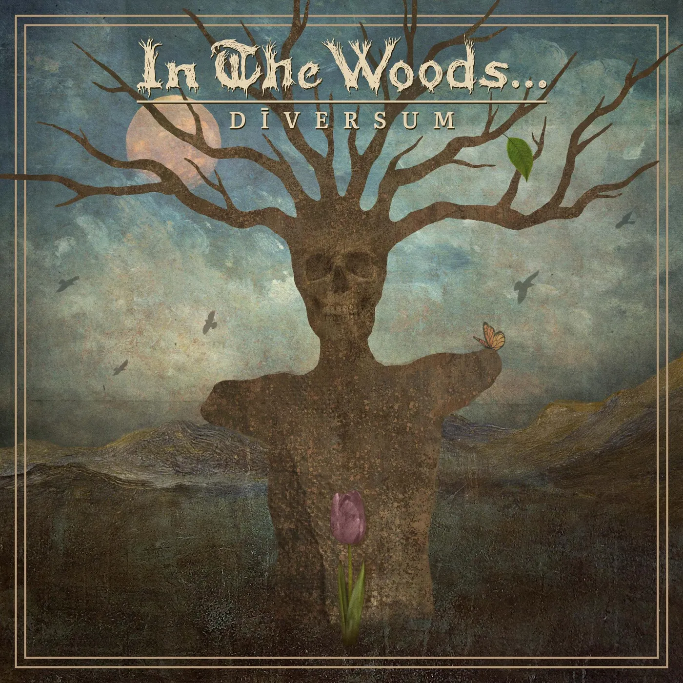 In The Woods... Diversum CD