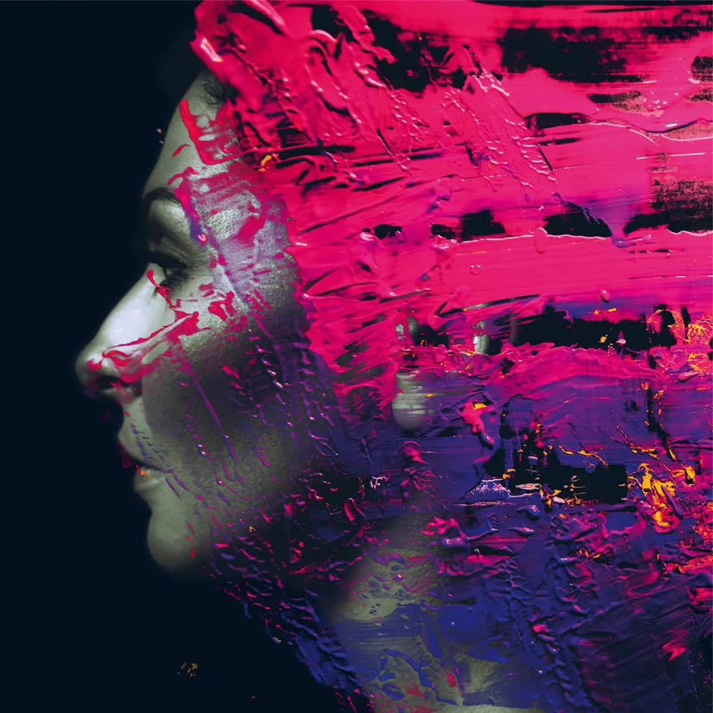 Steven Wilson HAND.CANNOT.ERASE CD