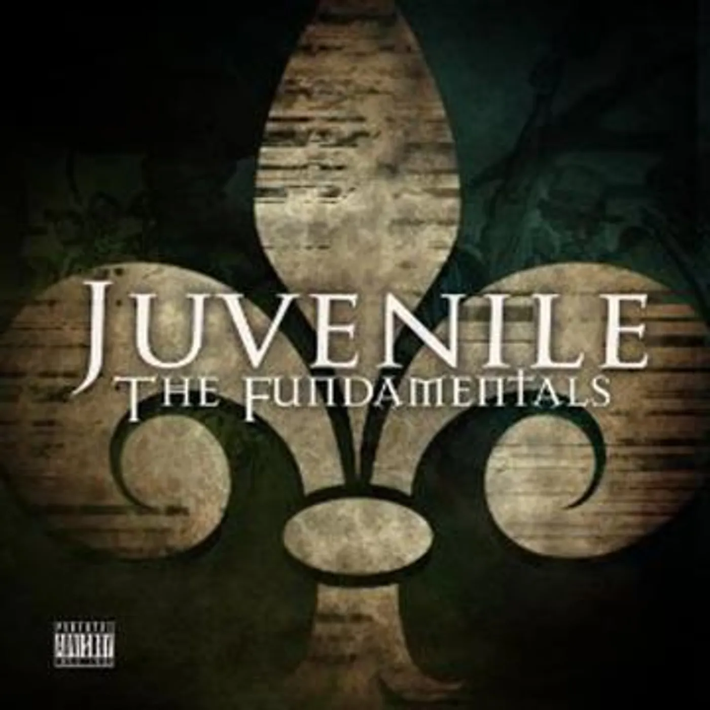 JUVENILE Fundamentals CD