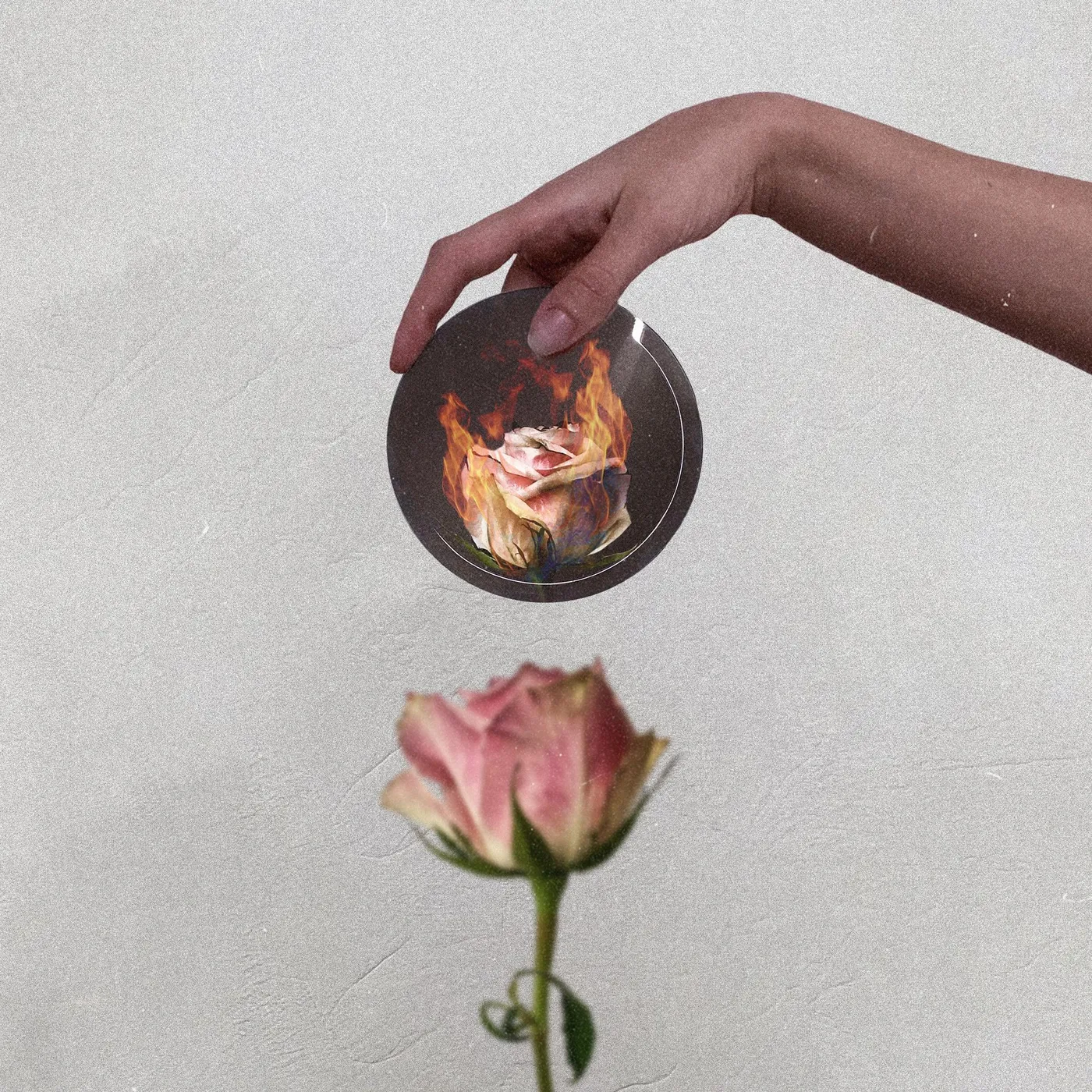 Stain the Canvas ALL FINE / ENIF LLA CD