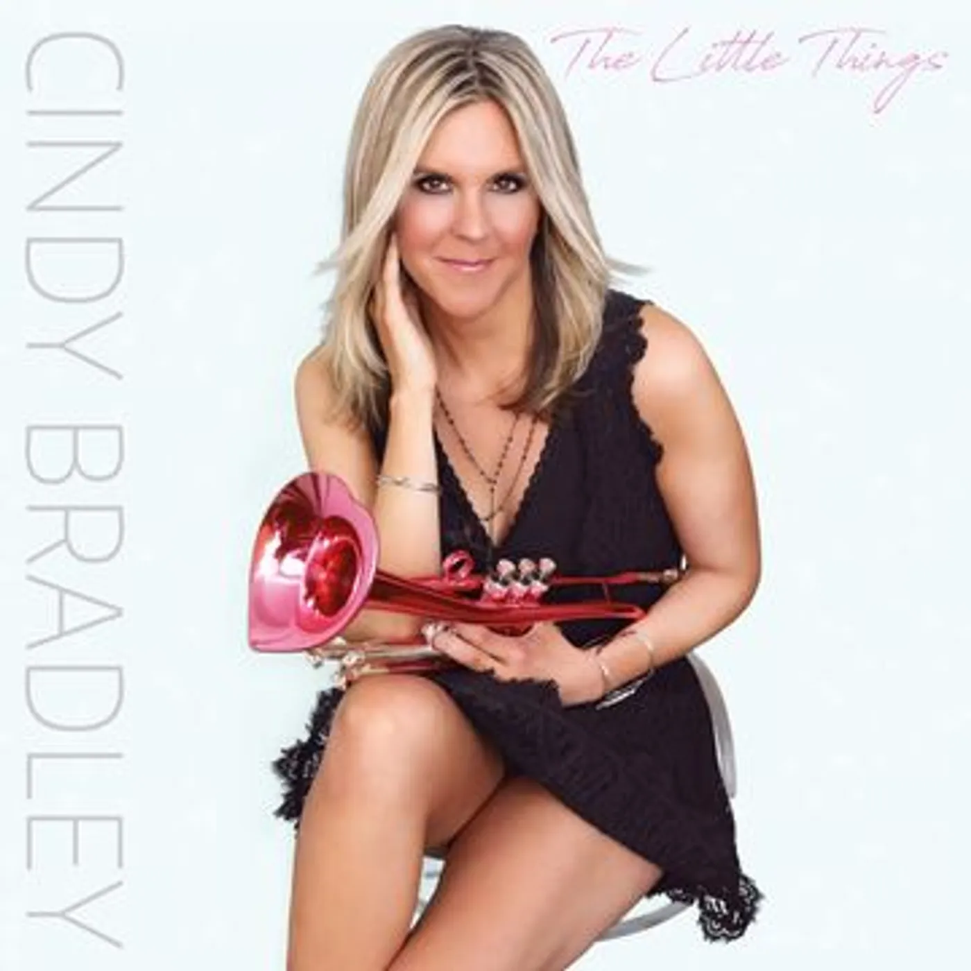 Cindy Bradley LITTLE THINGS CD