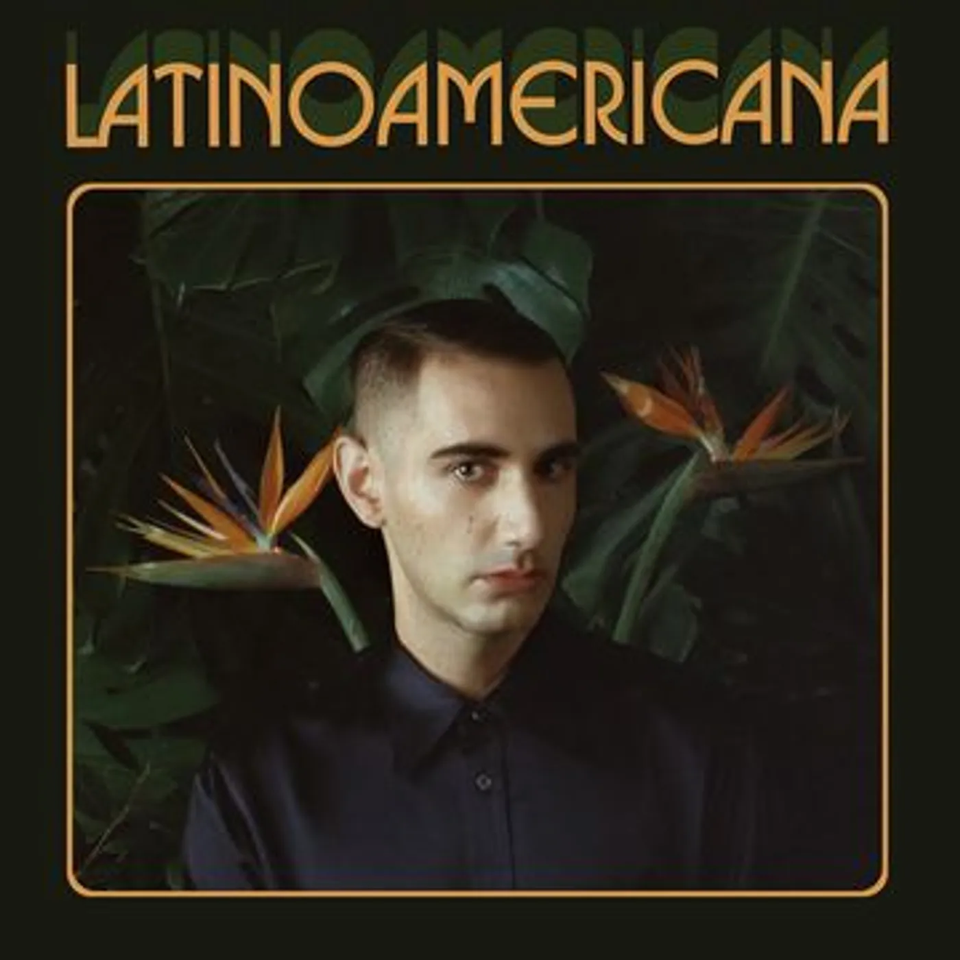 Alex Anwandter Latinoamericana Vinyl Record