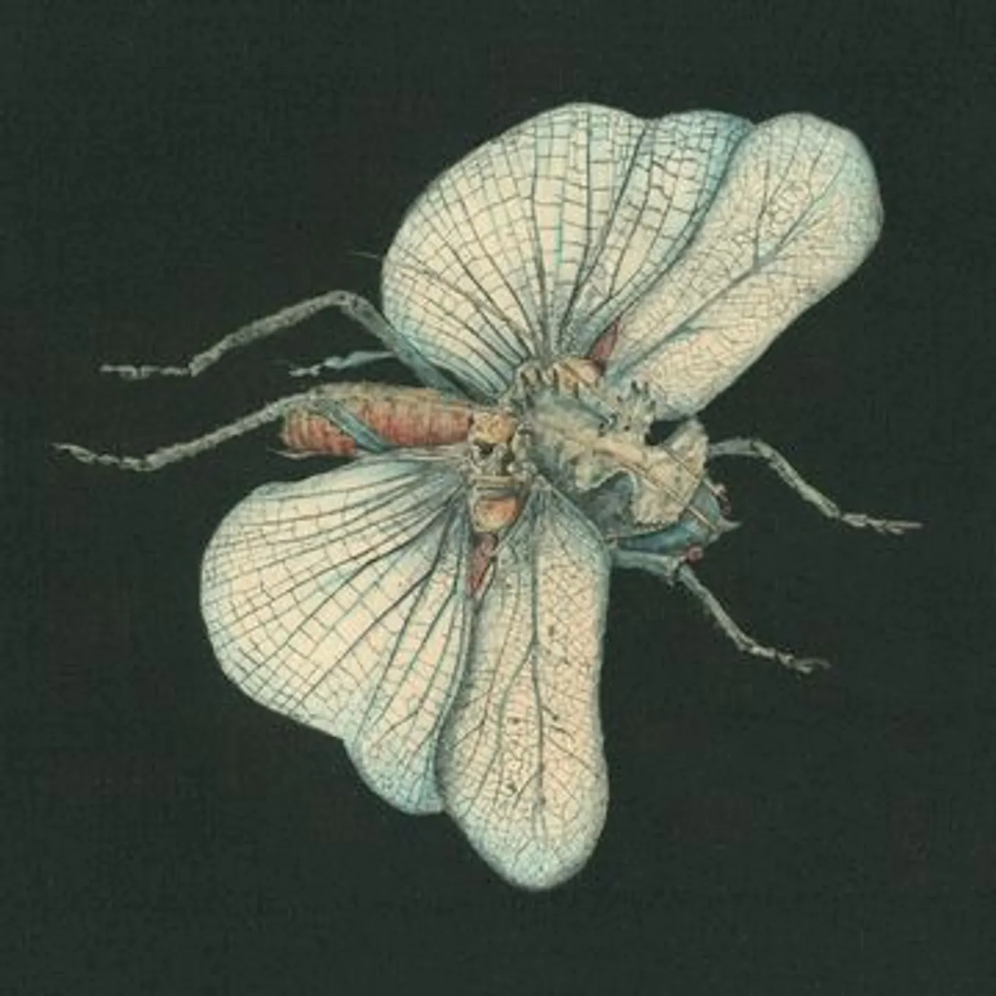 Susanna Go Dig My Grave Vinyl Record