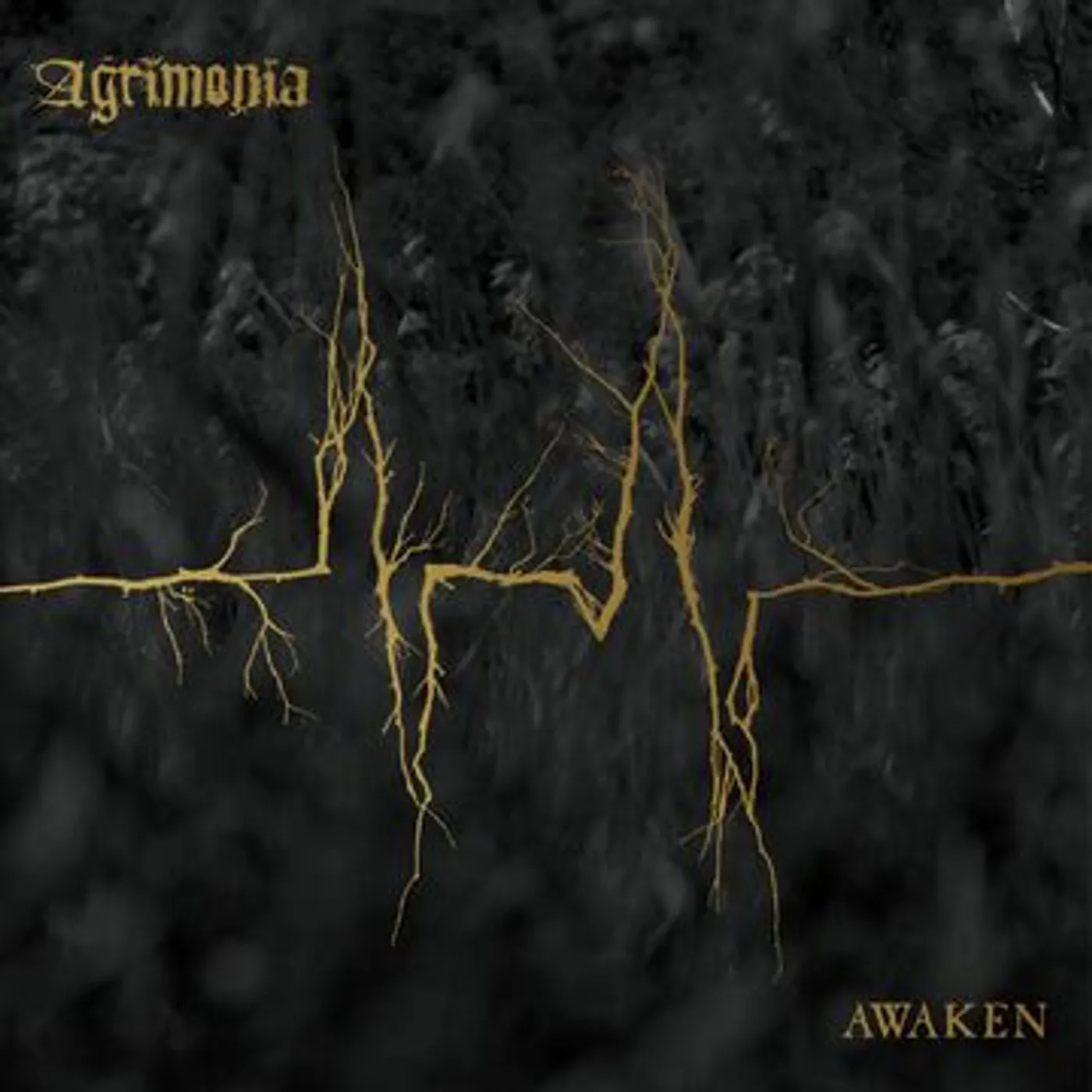 Agrimonia Awaken Vinyl Record