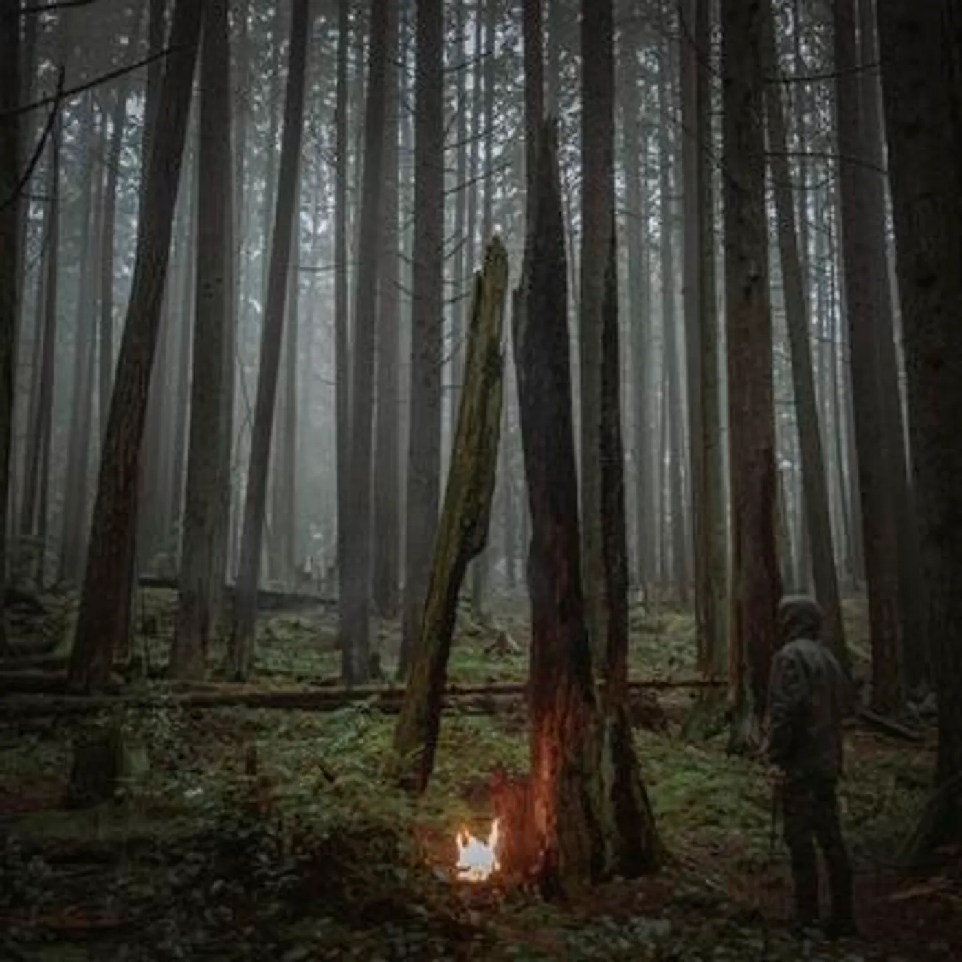 Baptists Beacon Of Faith Vinyl Record