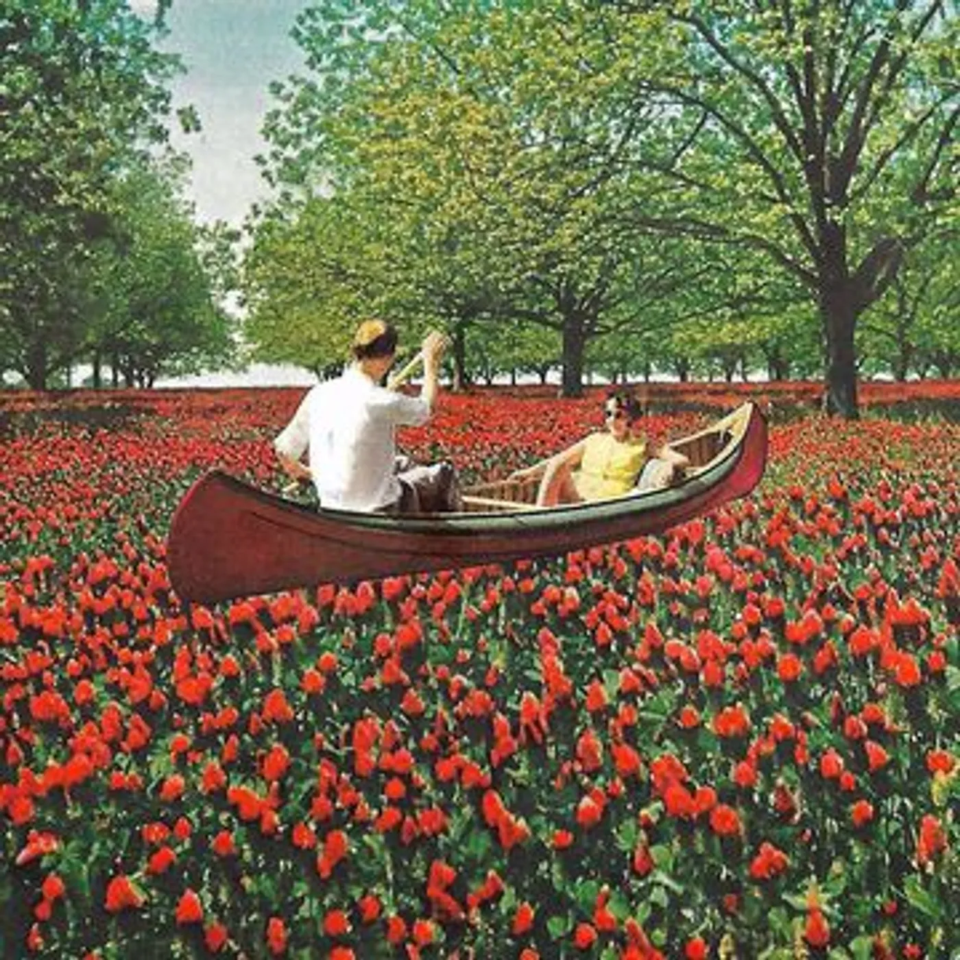 Elder Brother STAY INSIDE Vinyl Record