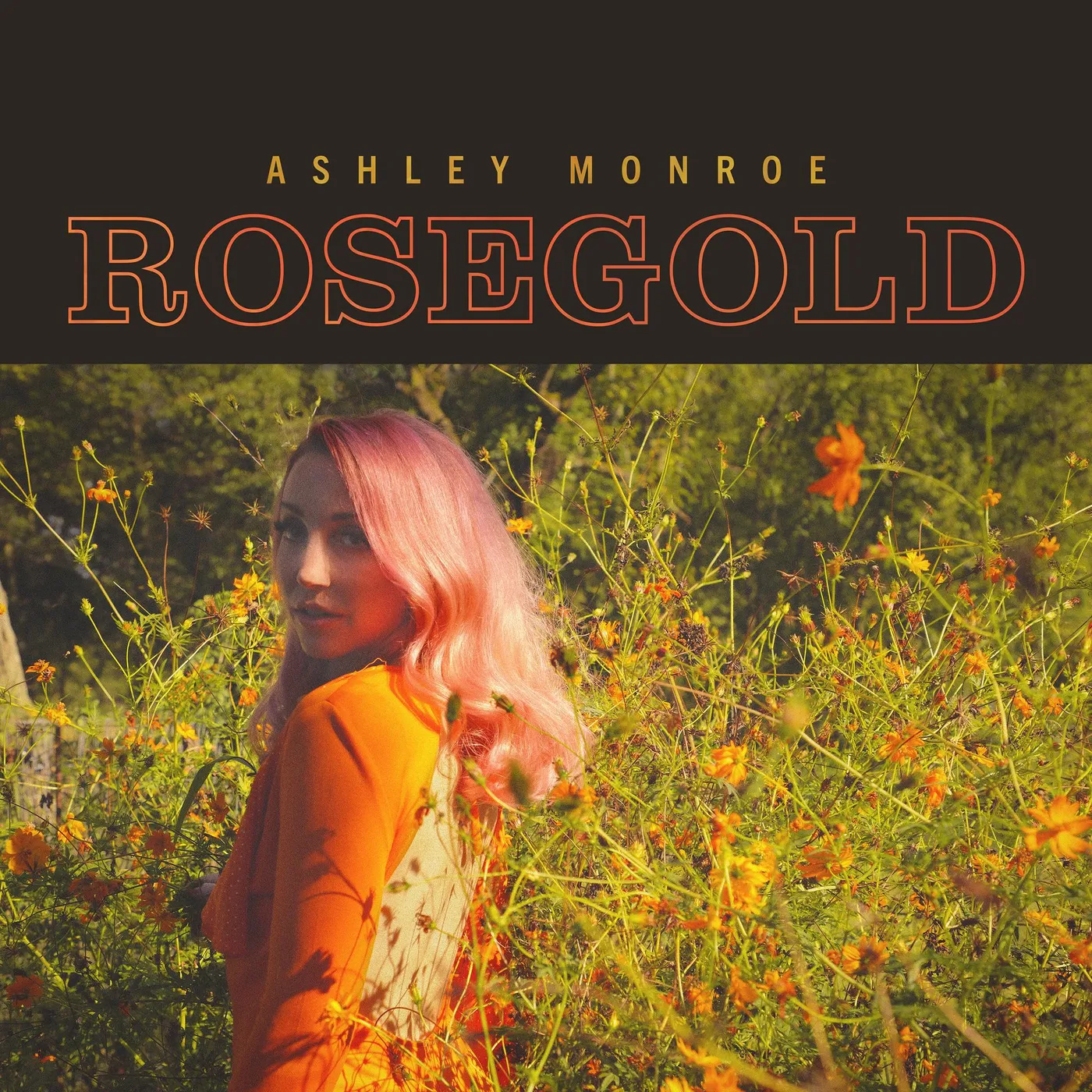 Ashley Monroe Rosegold Vinyl Record