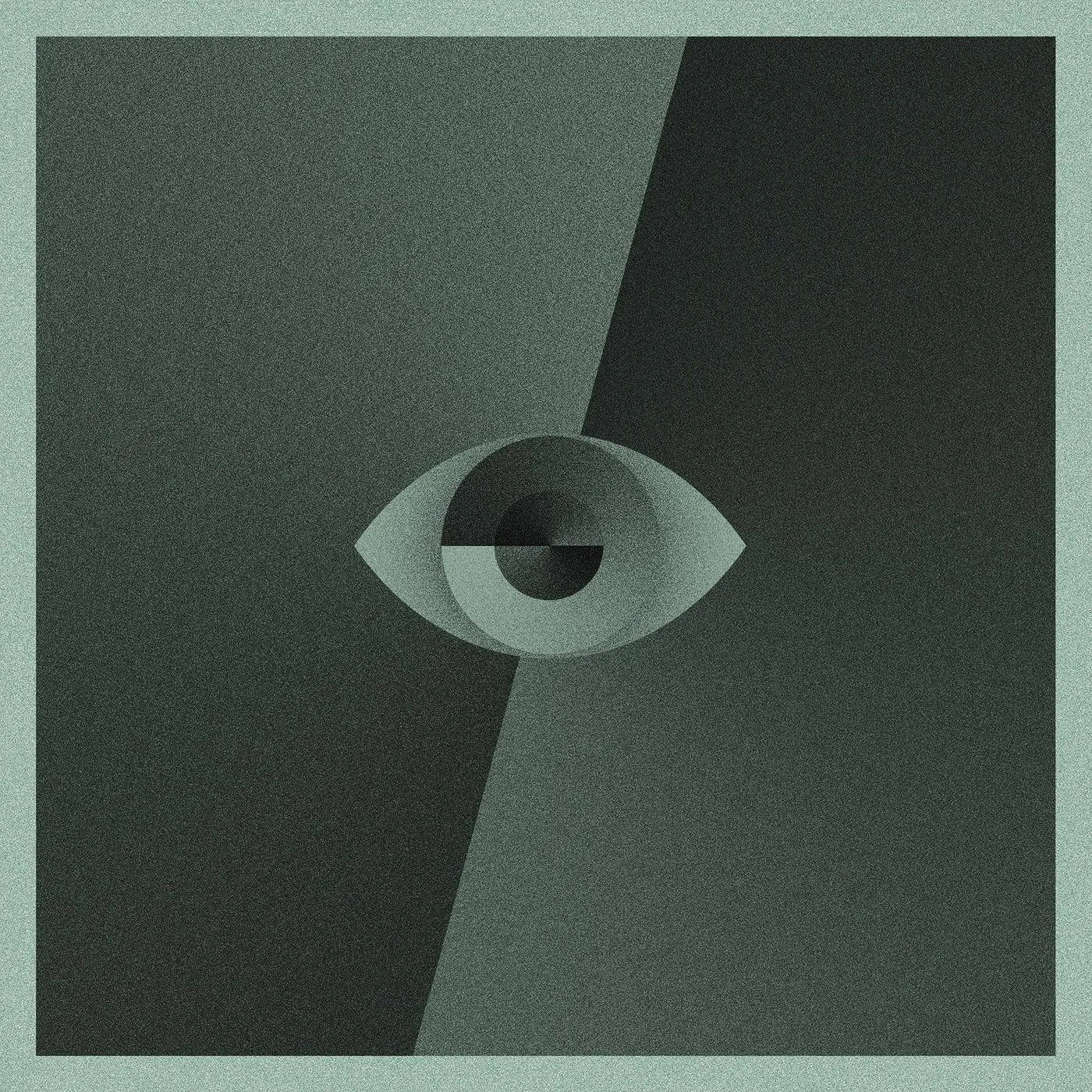 SOM Awake Vinyl Record