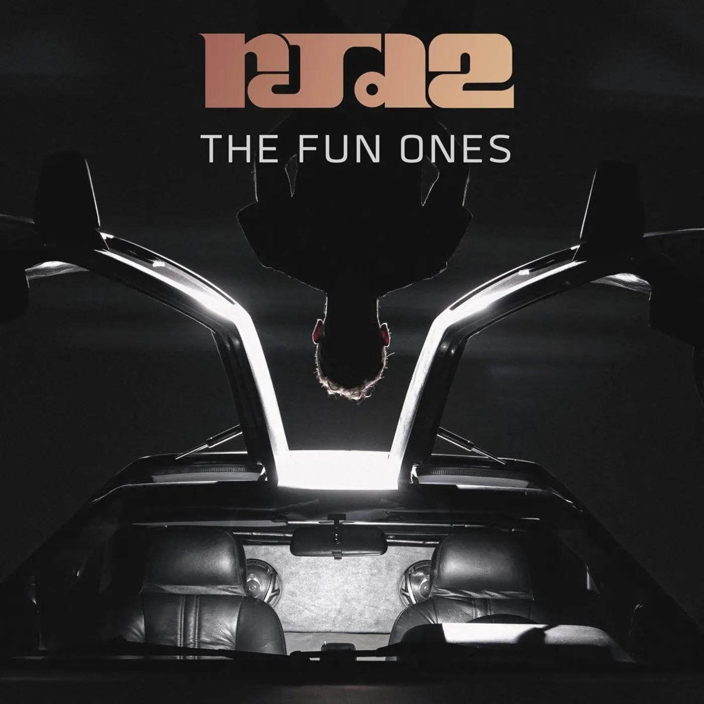 RJD2 FUN ONES Vinyl Record