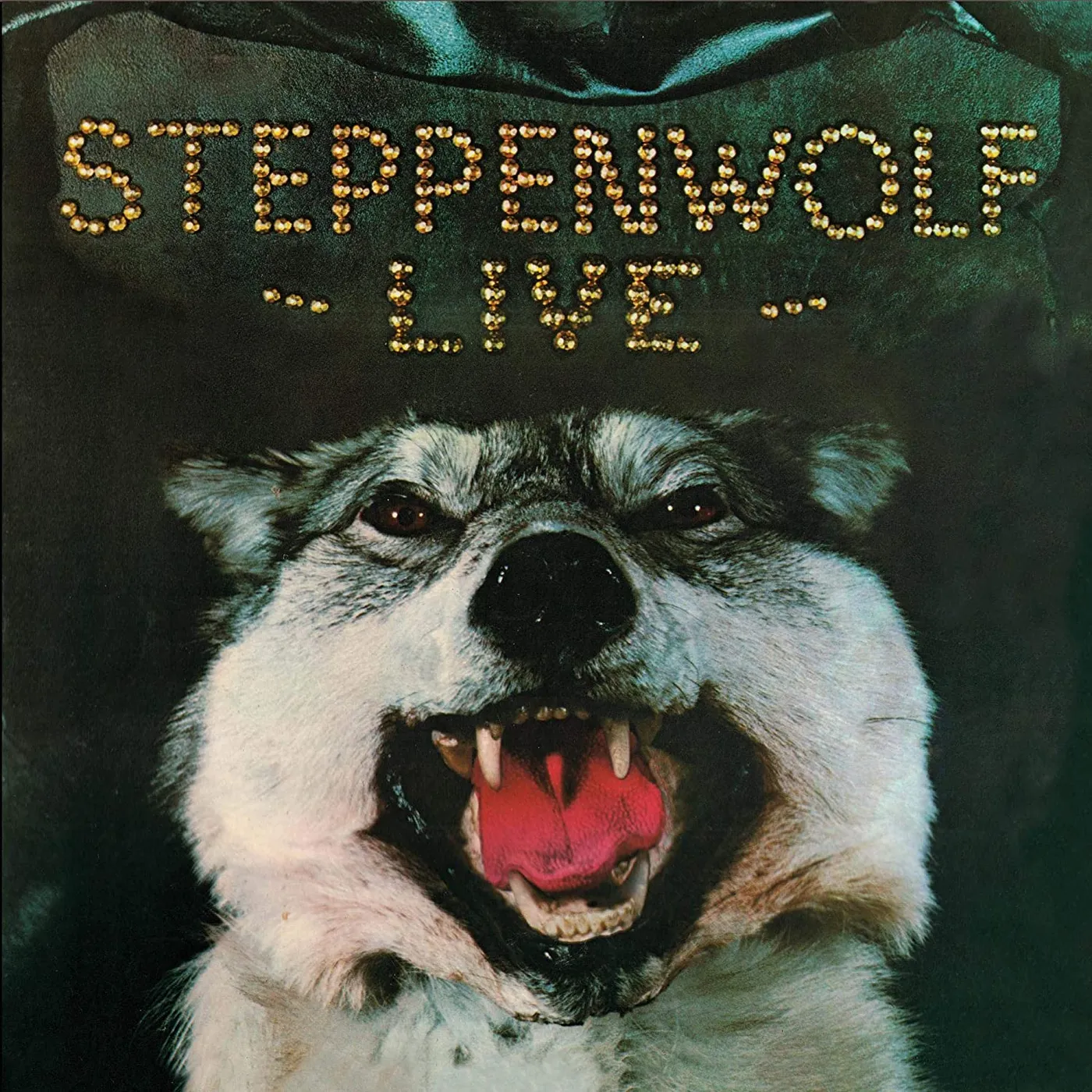 STEPPENWOLF LIVE (180G/LIMITED ANNIVERSARY EDITION/GATEFOLD COVER) Vinyl Record