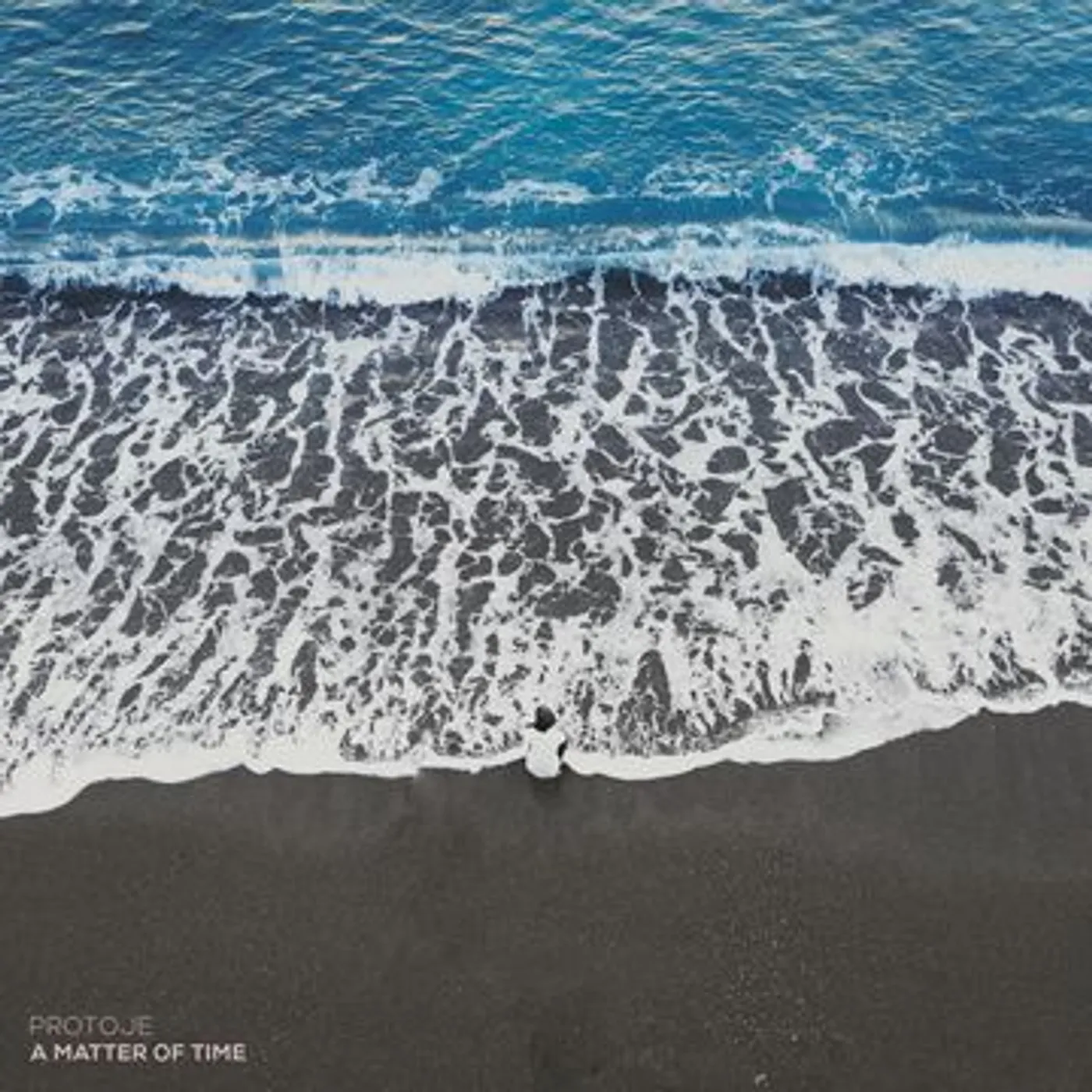 Protoje Matter of time Vinyl Record