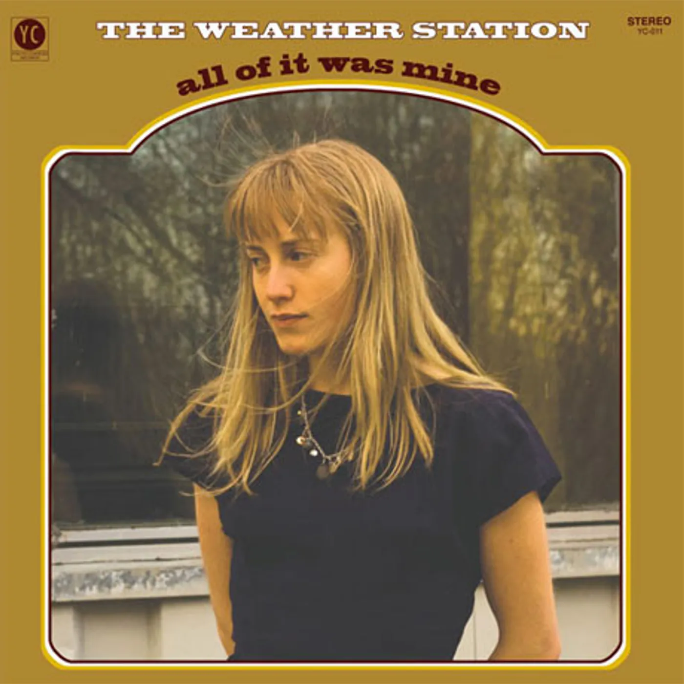 The Weather Station All Of It Was Mine Vinyl Record