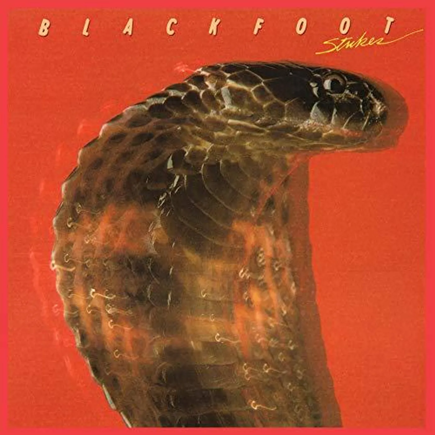Blackfoot Strikes Vinyl Record