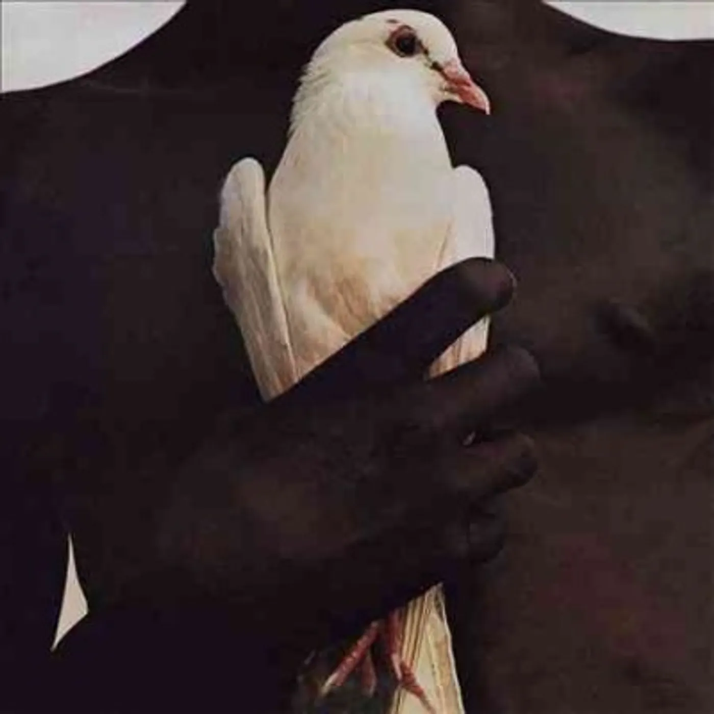 Santana's Greatest Hits Vinyl Record