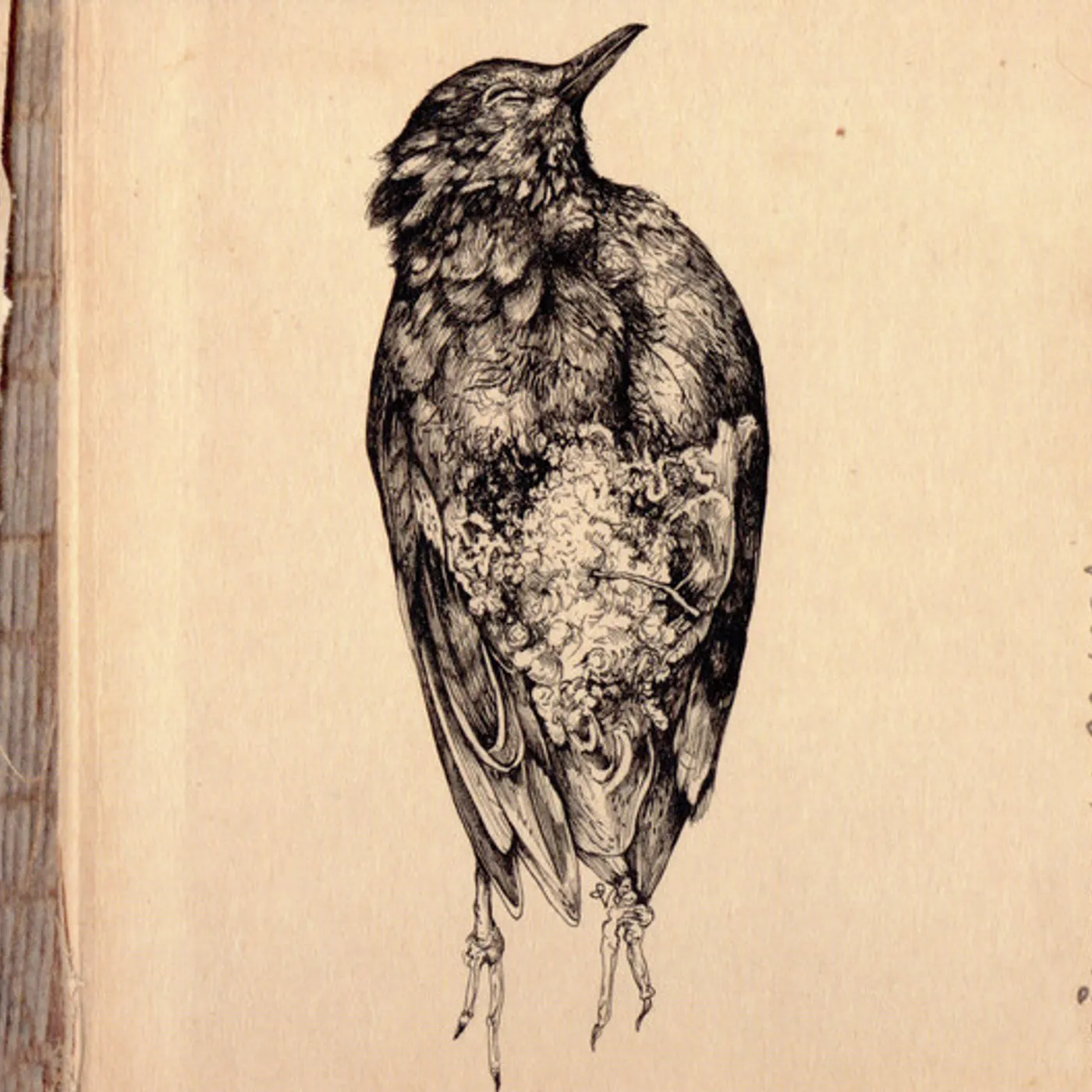 Krakesolv Pangea Vinyl Record