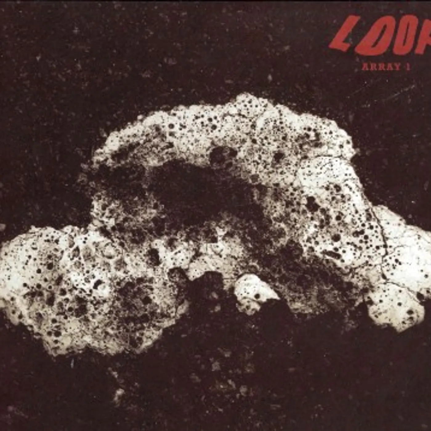 Loop Array 1 Vinyl Record