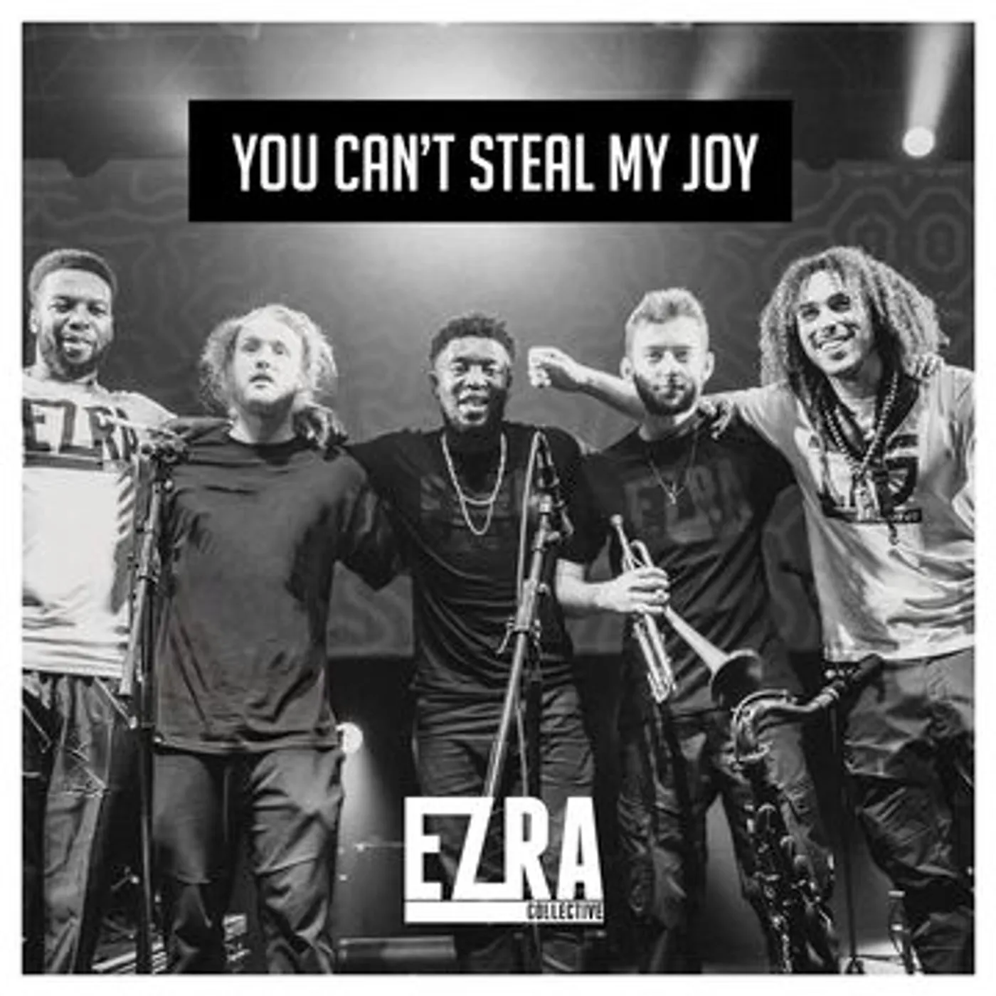 Ezra Collective YOU CAN'T STEAL MY JOY Vinyl Record