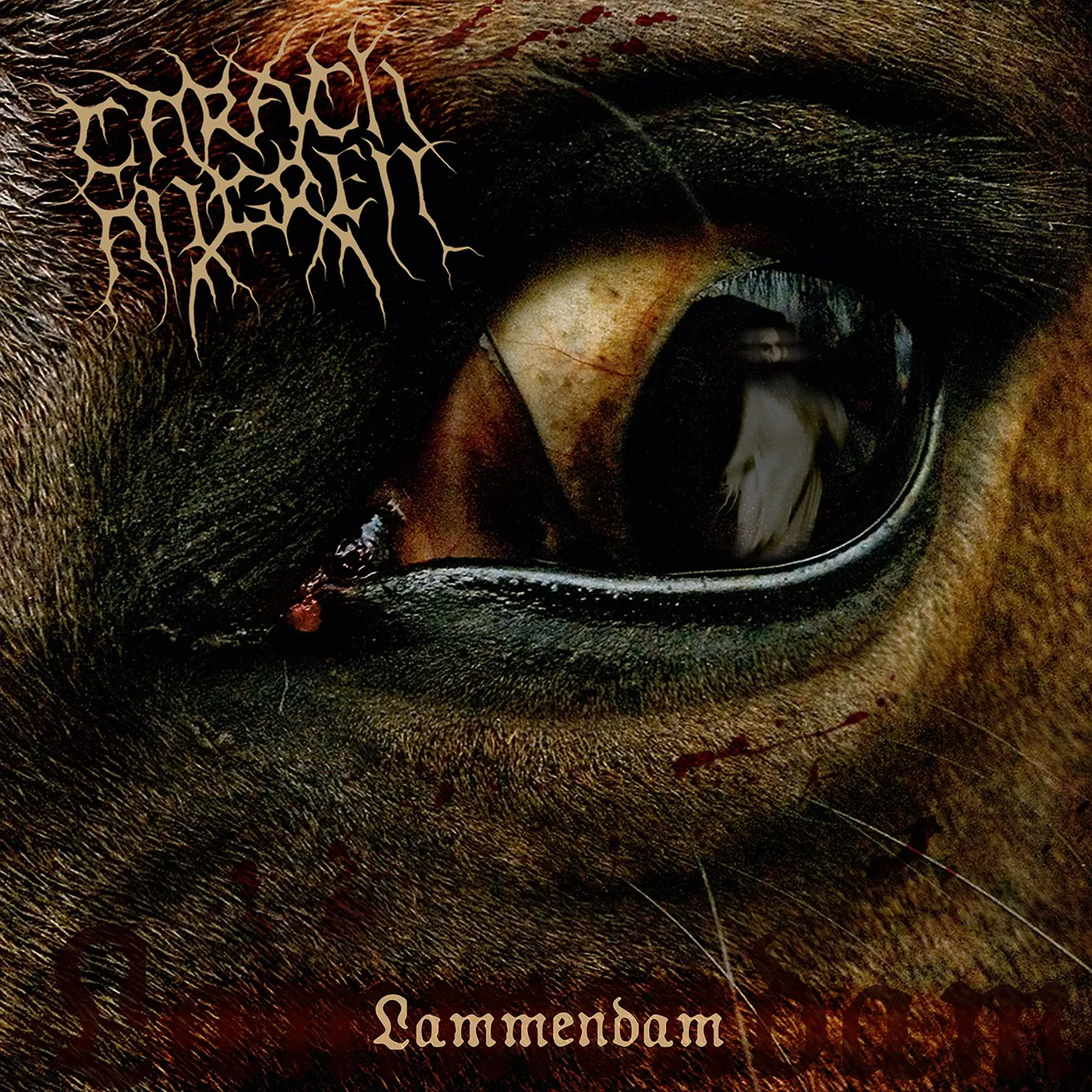 Carach Angren LAMMENDAM (LTD/2LP/SWAMP GREEN VINYL/GATEFOLD) Vinyl Record