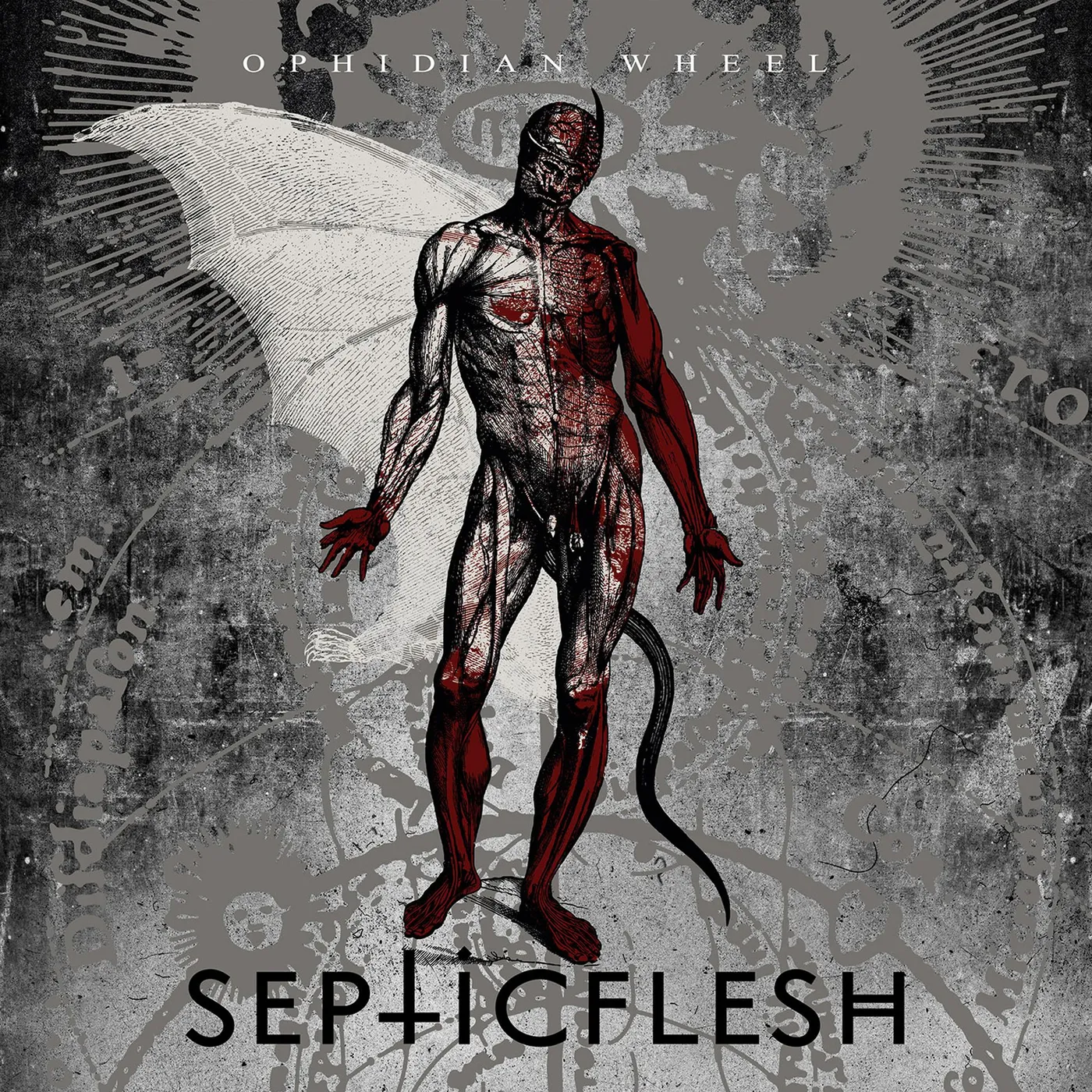 Septicflesh OPHIDIAN WHEEL (LTD/SILVER VINYL/GATEFOLD/2LP) Vinyl Record