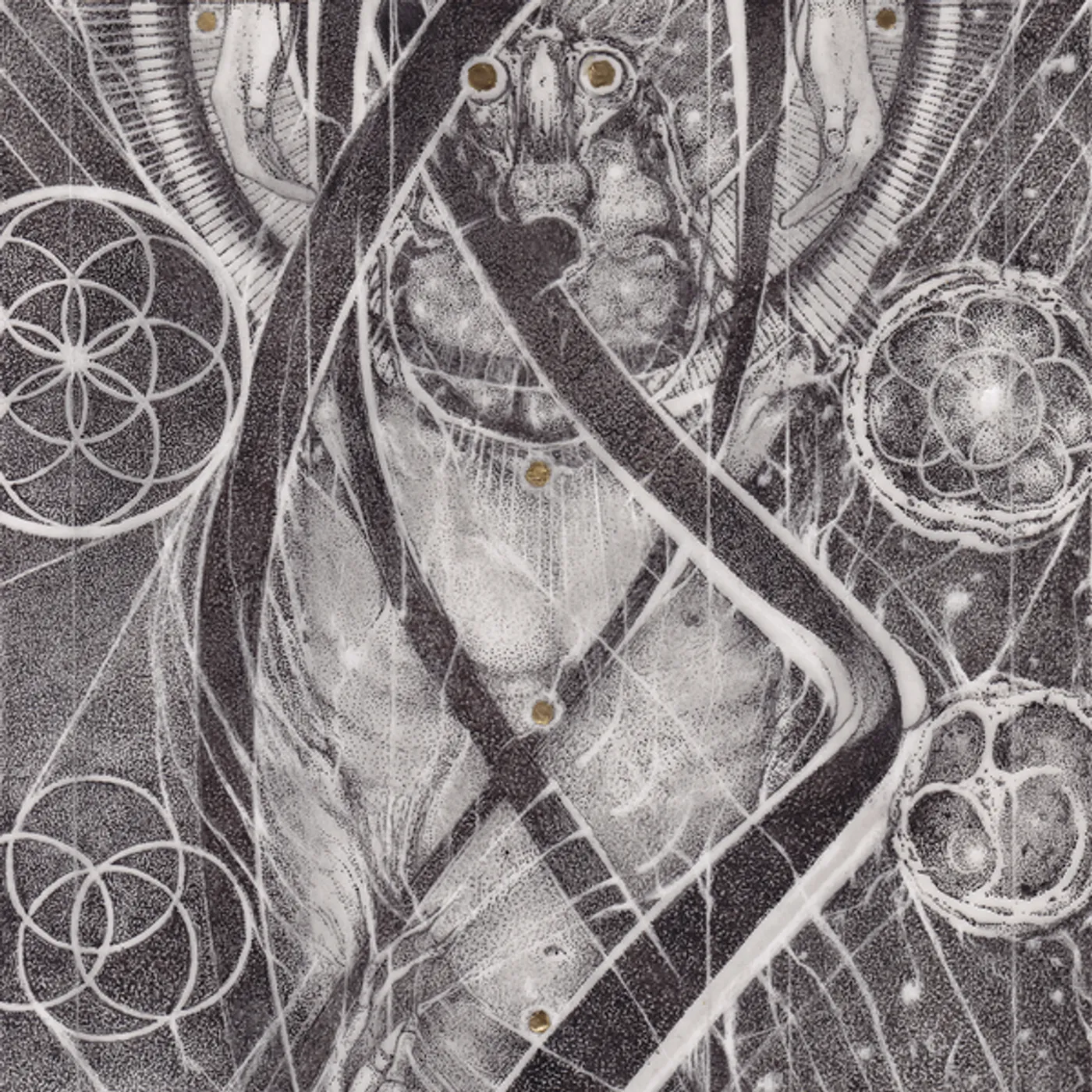 Cynic Uroboric Forms   The Complete Demo Recor Vinyl Record