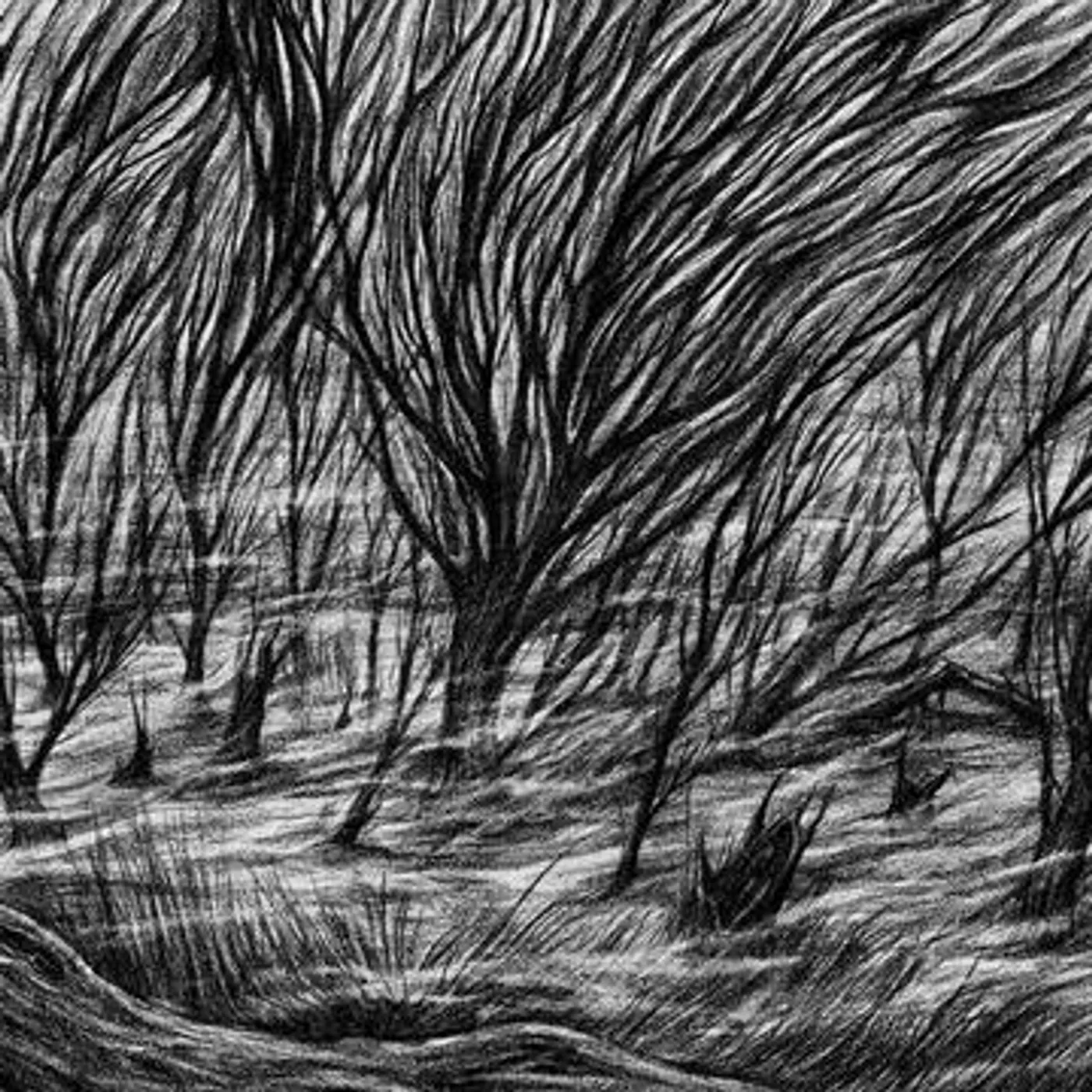 Bismuth The Eternal Marshes Vinyl Record