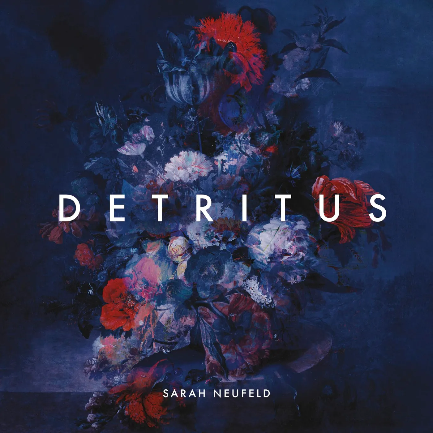 Sarah Neufeld Detritus Vinyl Record
