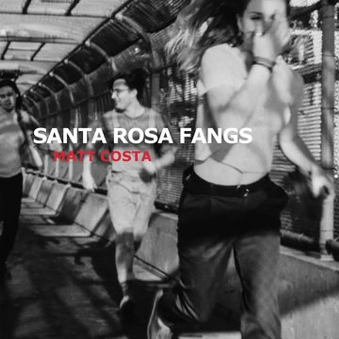 Matt Costa Santa Rosa Fangs Vinyl Record