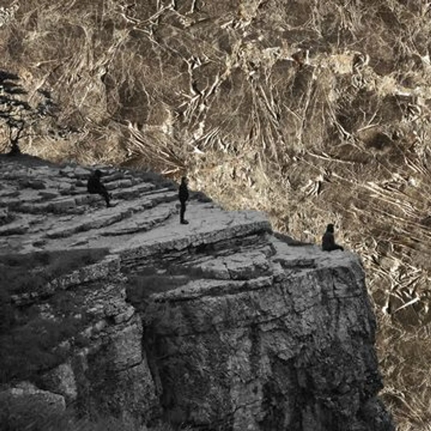 Esben and the Witch Nowhere Vinyl Record