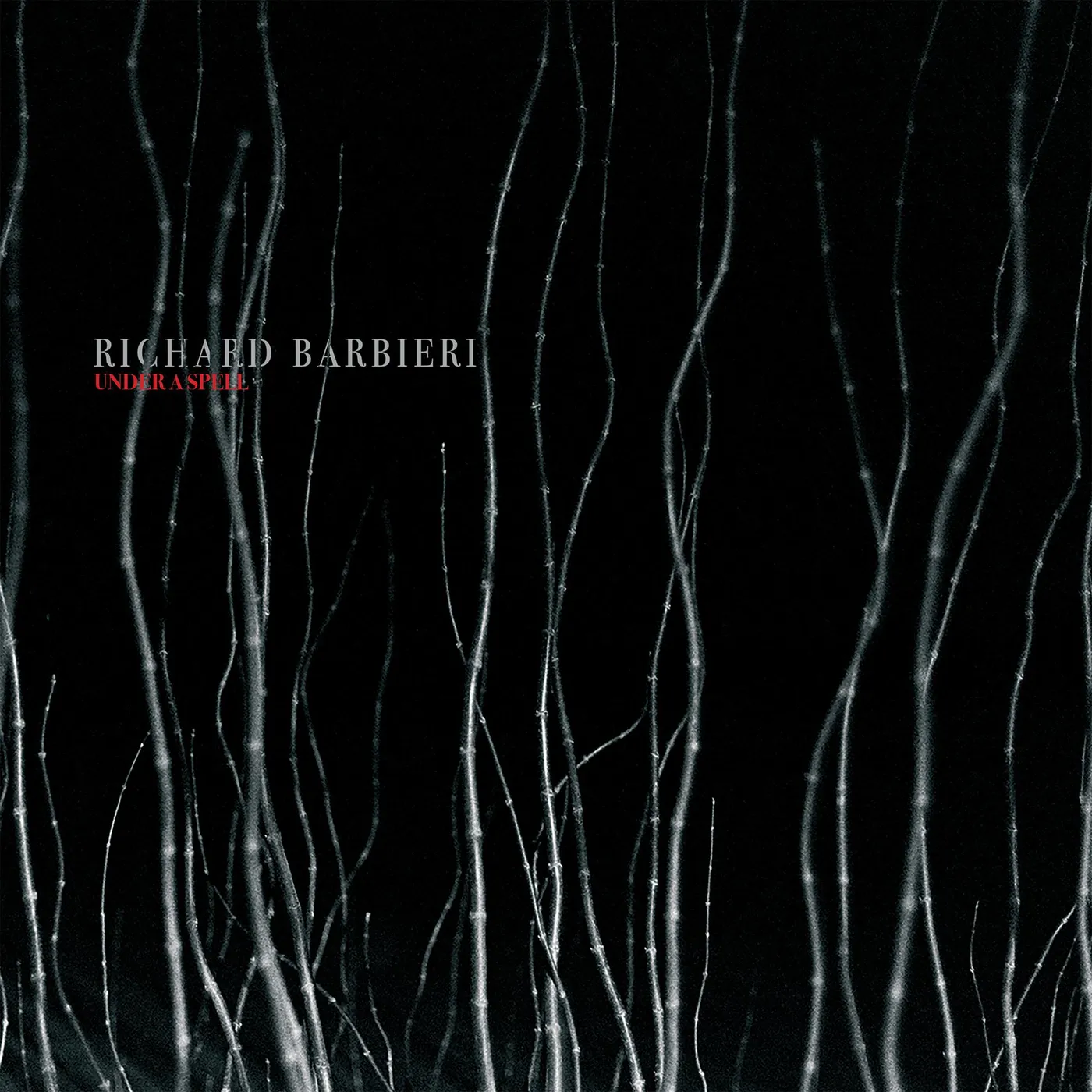 Richard Barbieri UNDER A SPELL (2LP) Vinyl Record