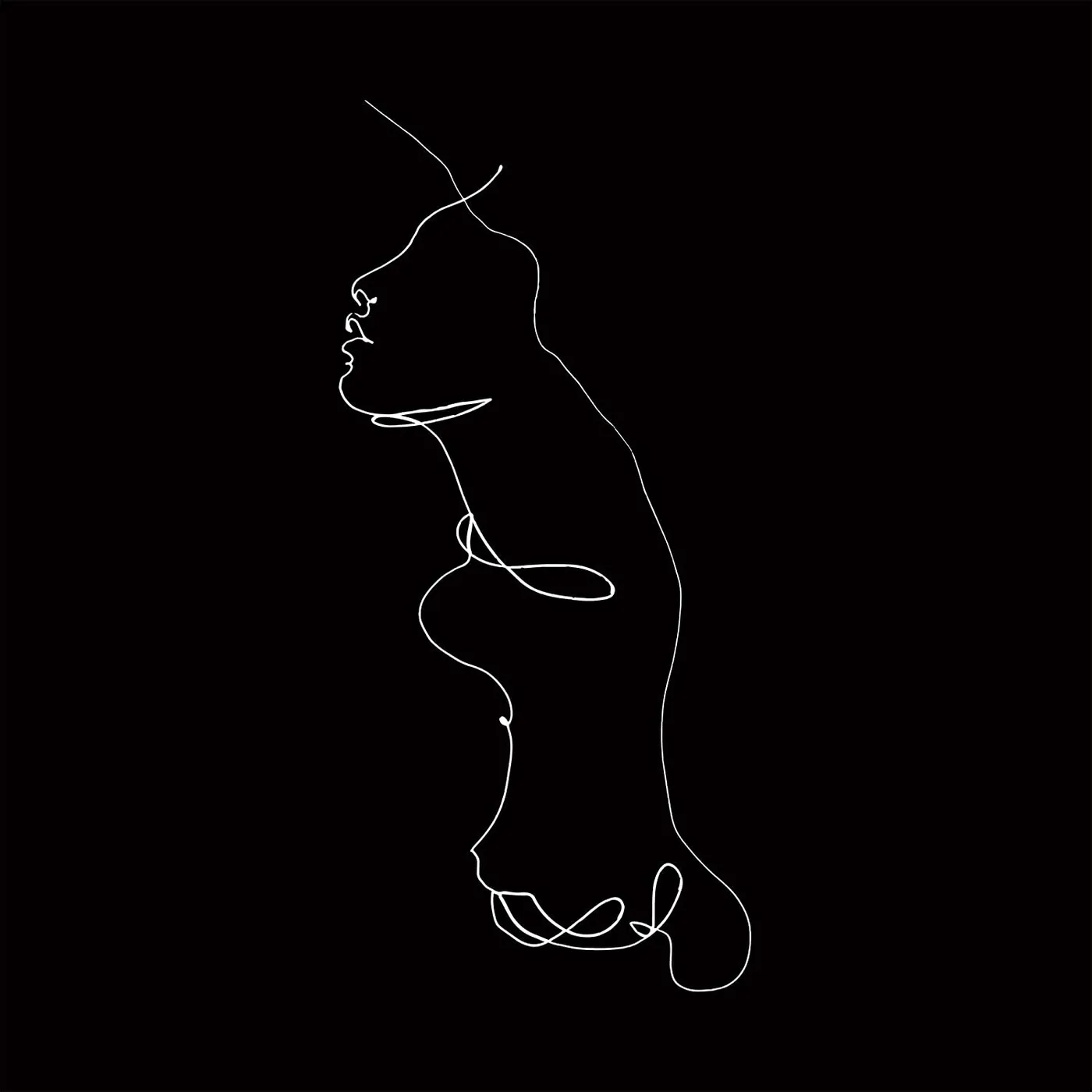 Jon Gomm The Faintest Idea Vinyl Record